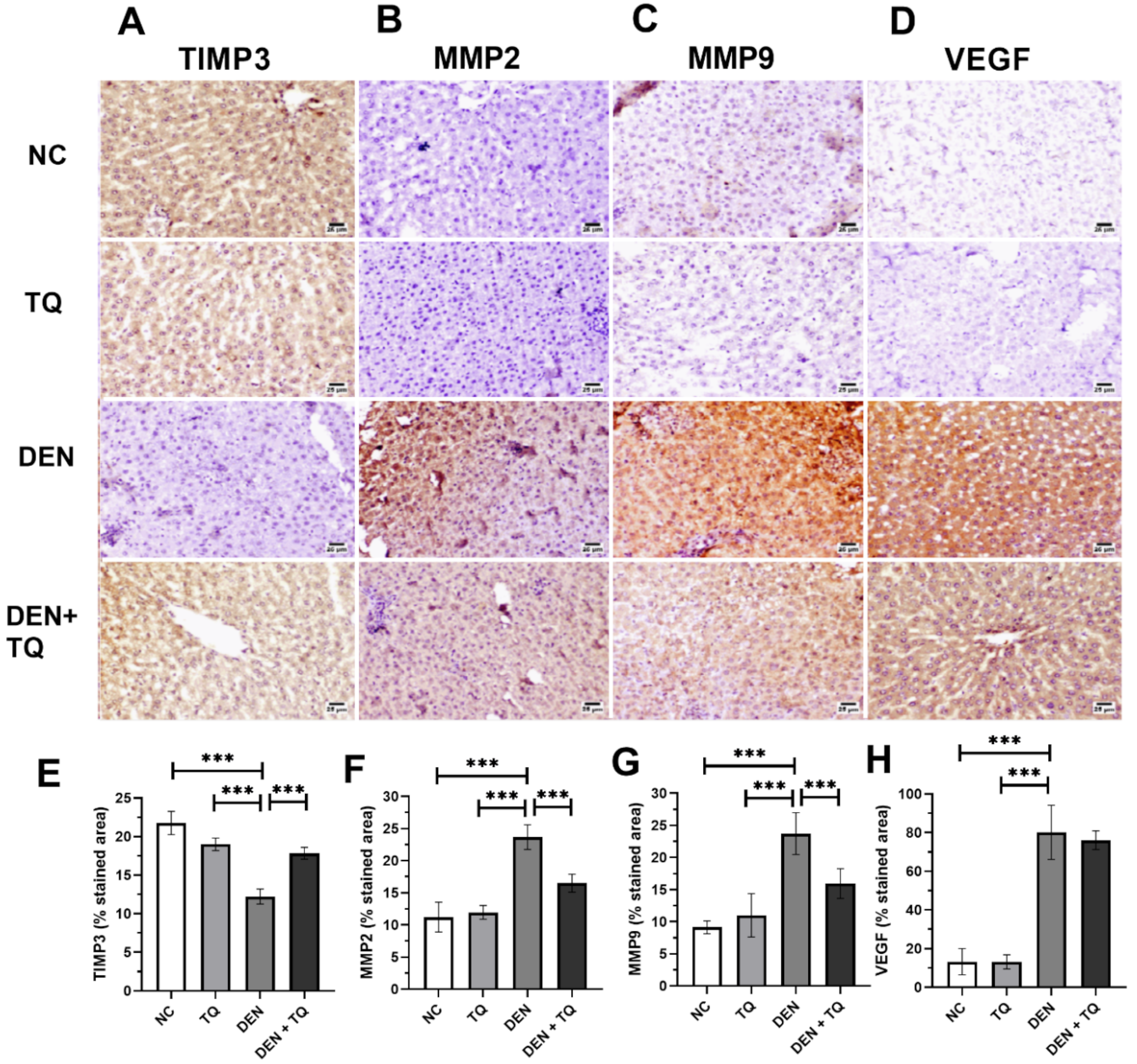 Ijms 23 15904 g001 Ijms 23 15904 g001