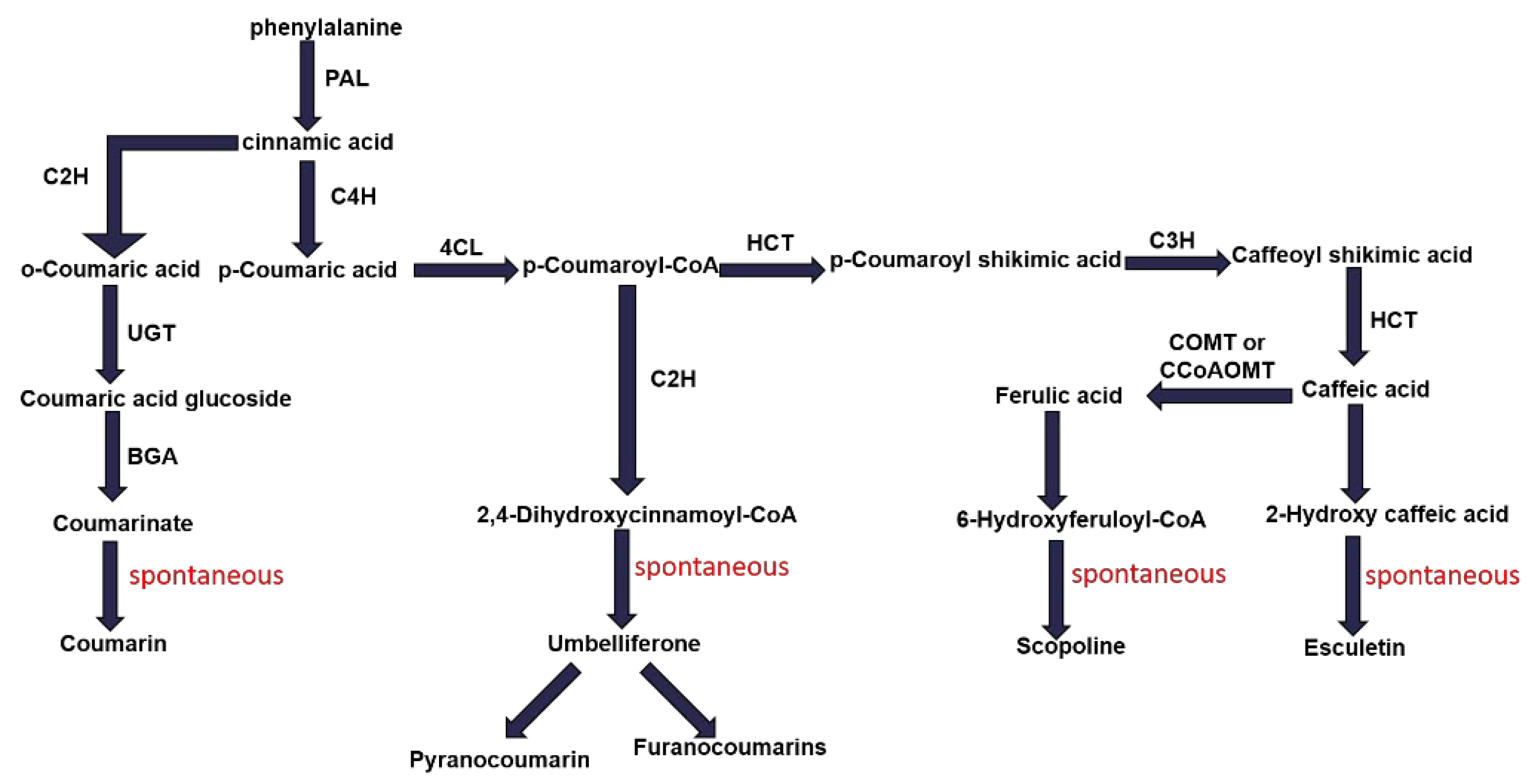 Ijms 23 15912 g006 Ijms 23 15912 g006