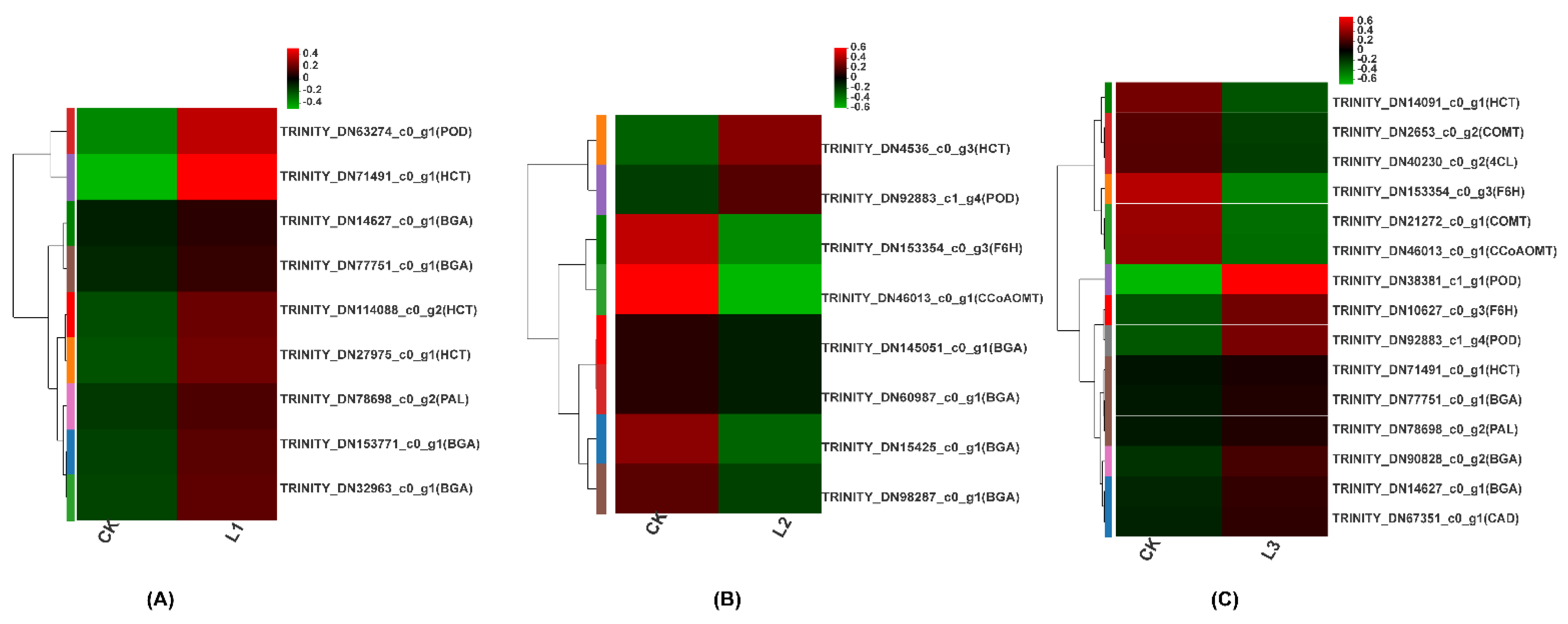 Ijms 23 15912 g007 Ijms 23 15912 g007