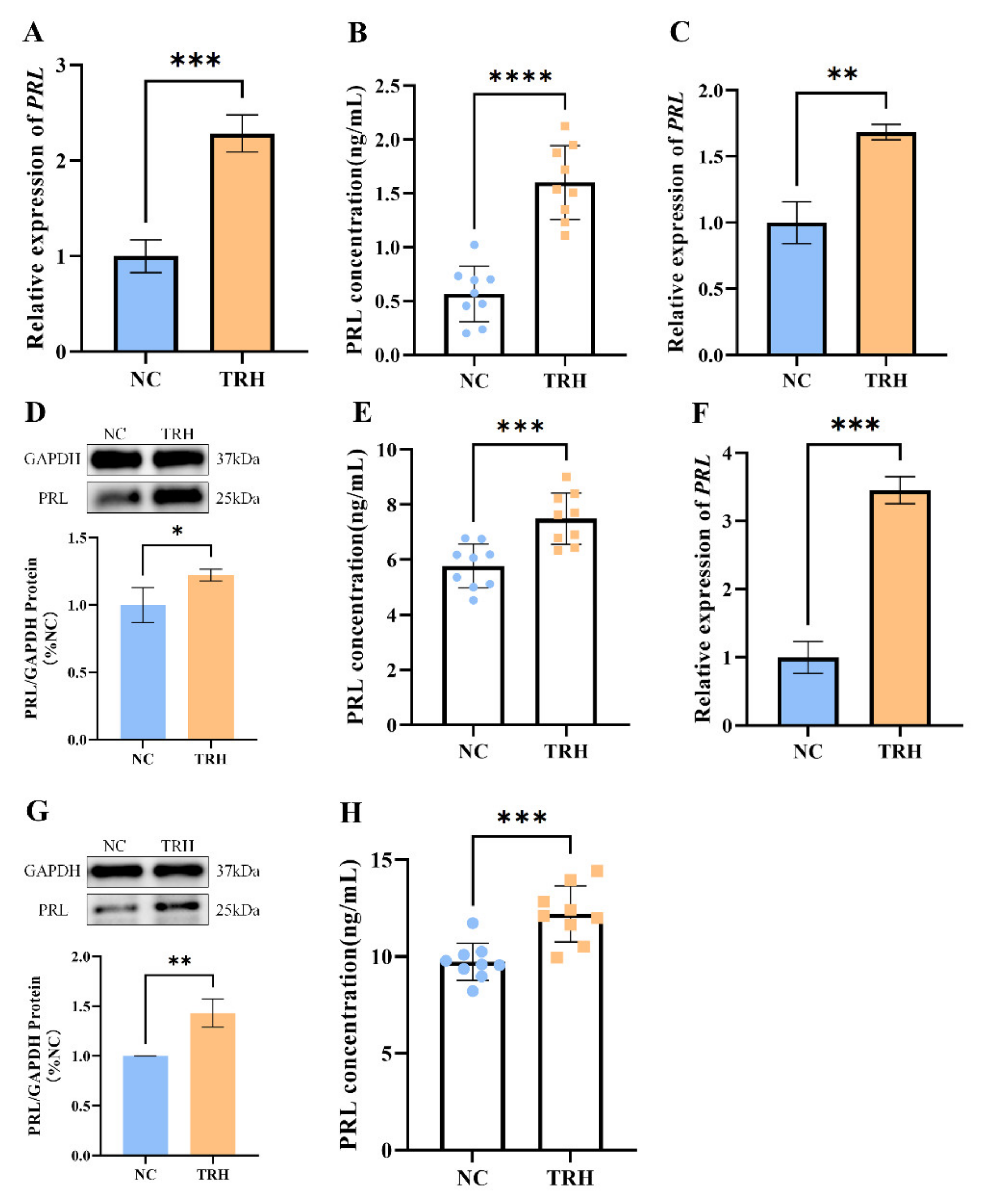 Ijms 23 15914 g001 Ijms 23 15914 g001