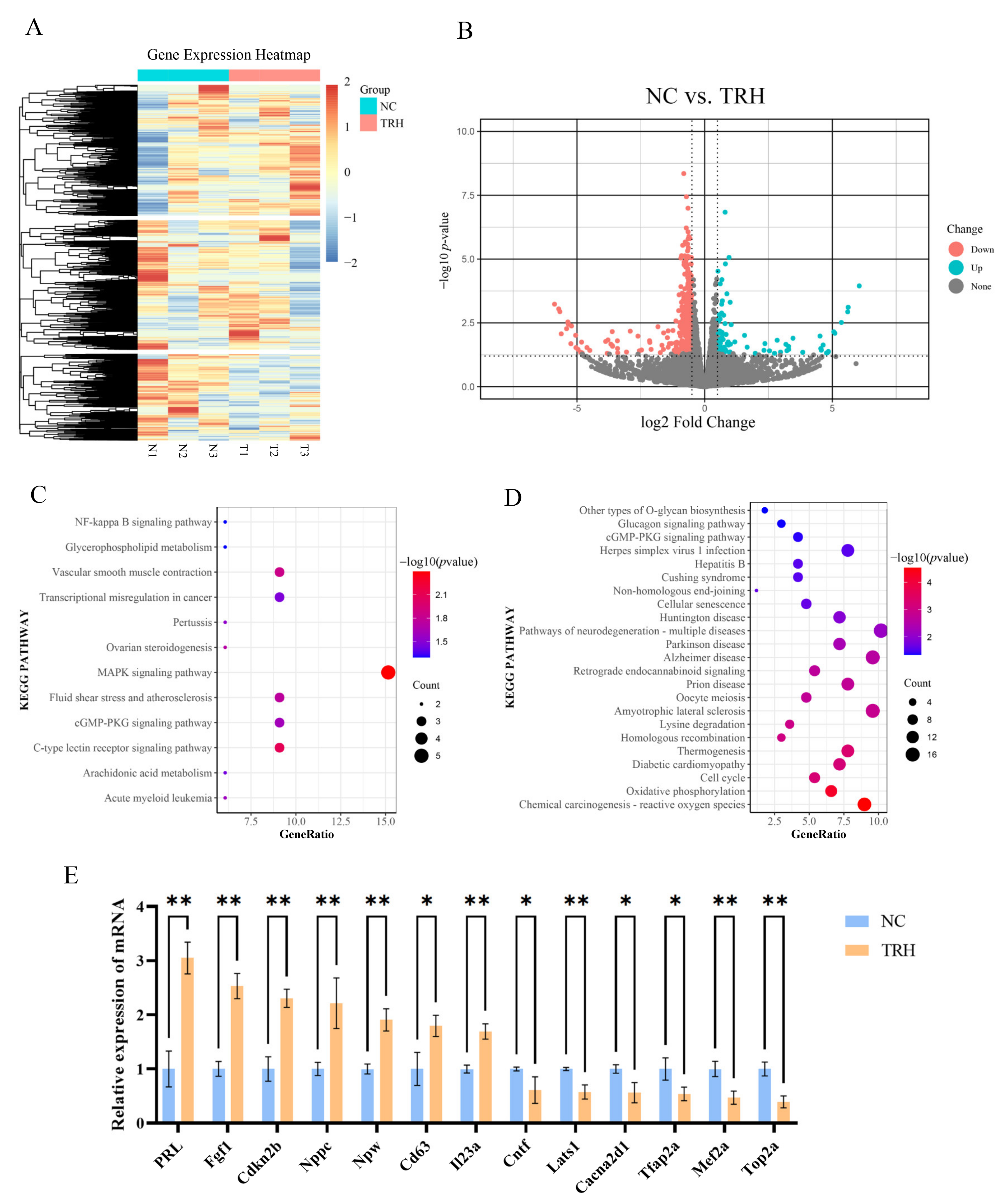 Ijms 23 15914 g002 Ijms 23 15914 g002