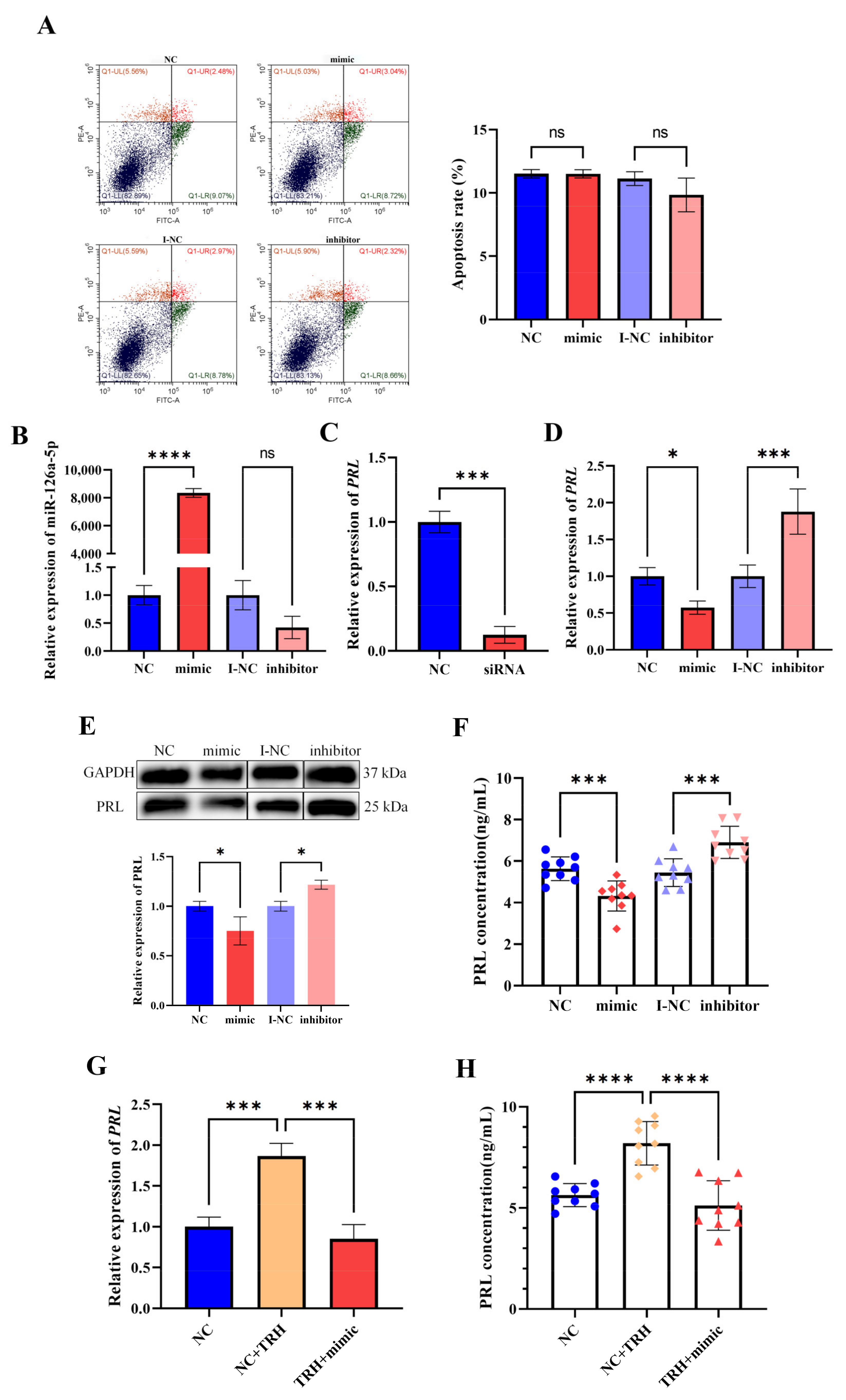 Ijms 23 15914 g005 Ijms 23 15914 g005