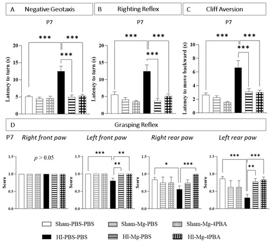 IJMS | Free Full-Text | Effects of MgSO4 Alone or Associated with 4-PBA on  Behavior and White Matter Integrity in a Mouse Model of Cerebral Palsy: A  Sex- and Time-Dependent Study