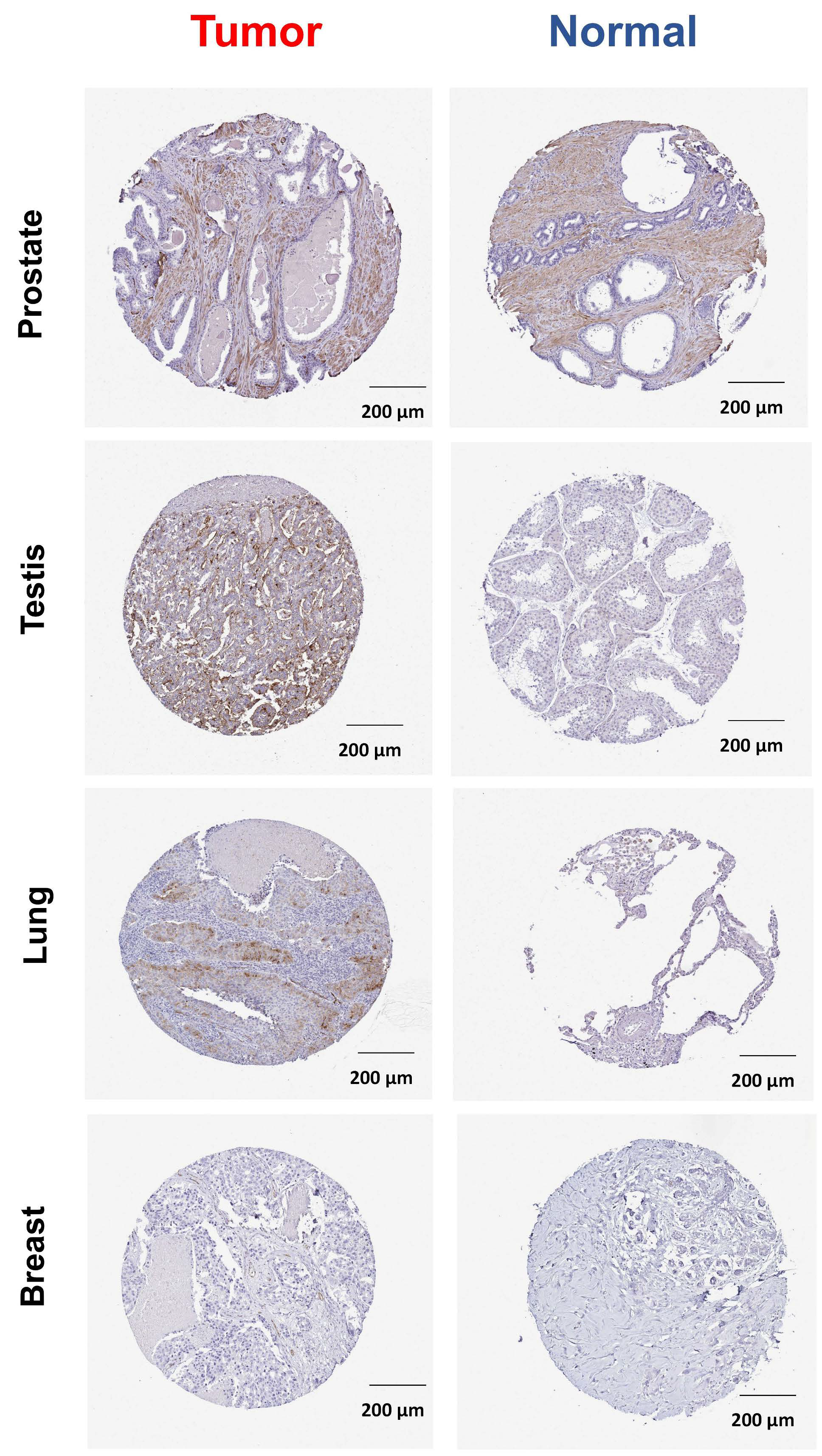 Ijms 23 15955 g002 Ijms 23 15955 g002