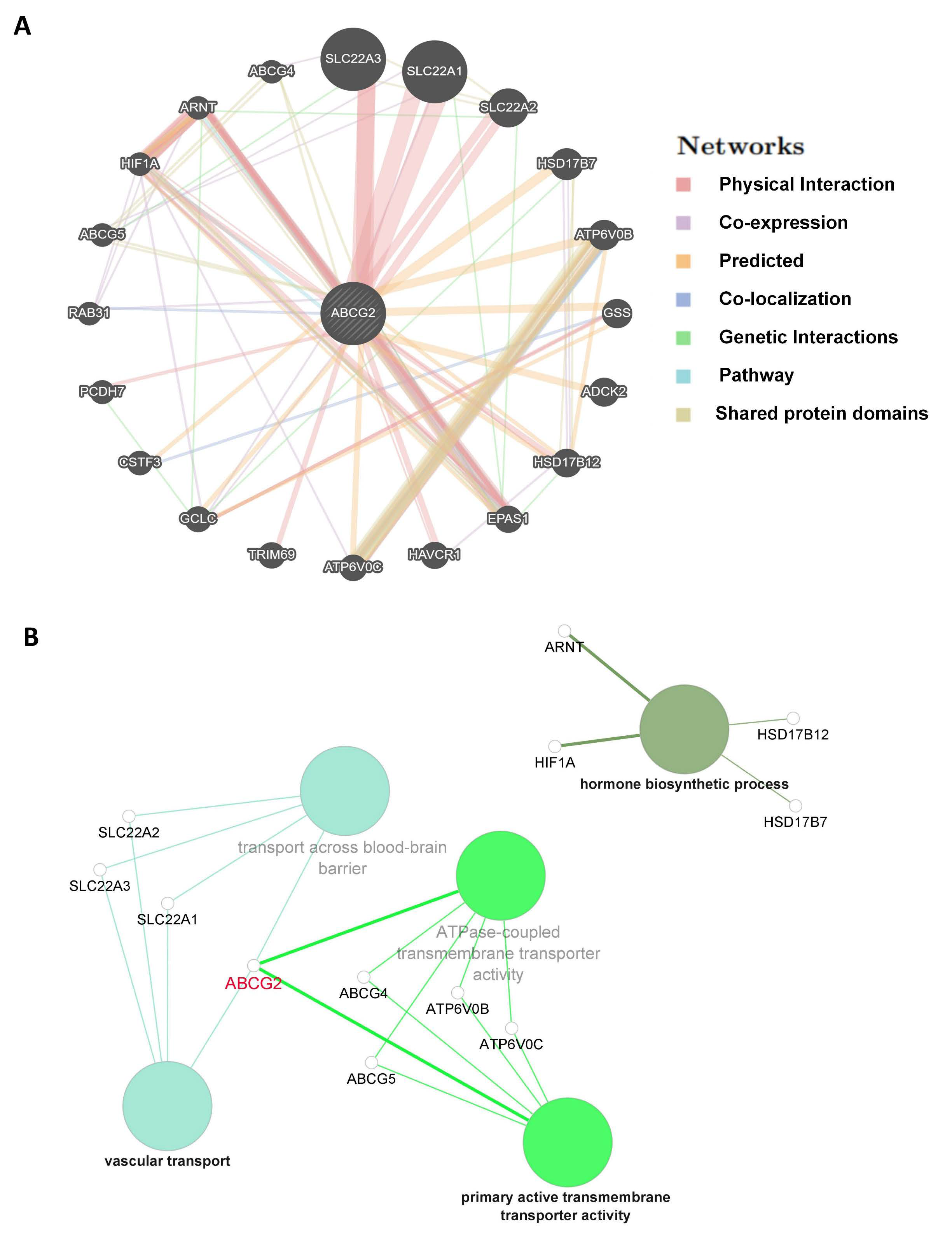 Ijms 23 15955 g010 Ijms 23 15955 g010