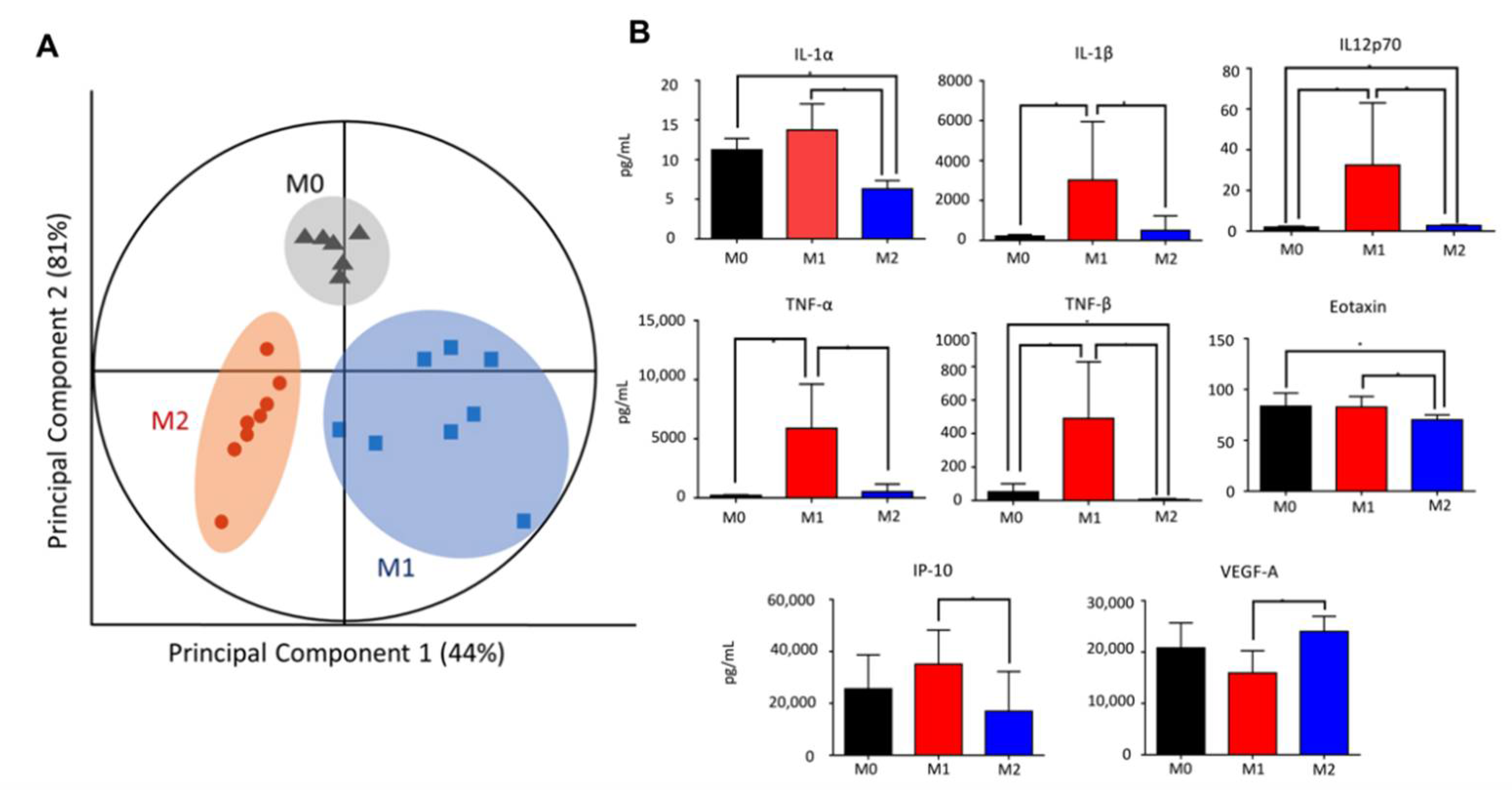 Ijms 23 15977 g002 Ijms 23 15977 g002