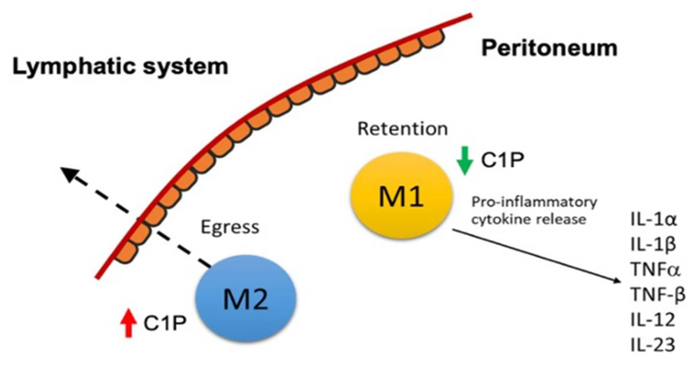 Ijms 23 15977 g004 Ijms 23 15977 g004