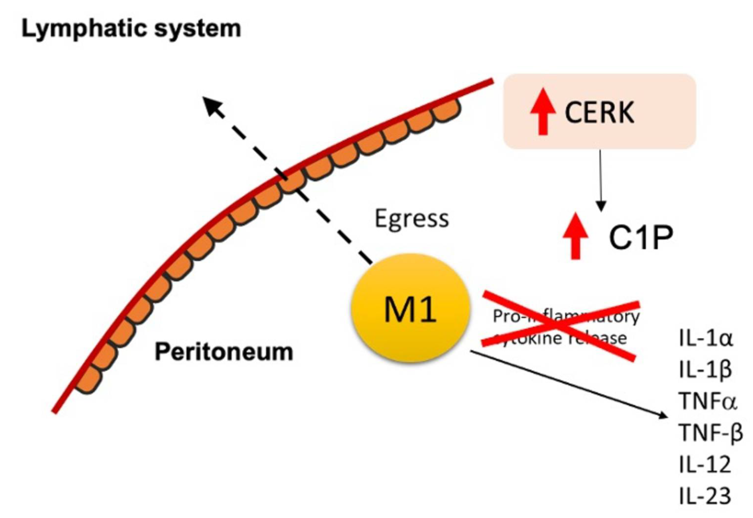 Ijms 23 15977 g005 Ijms 23 15977 g005