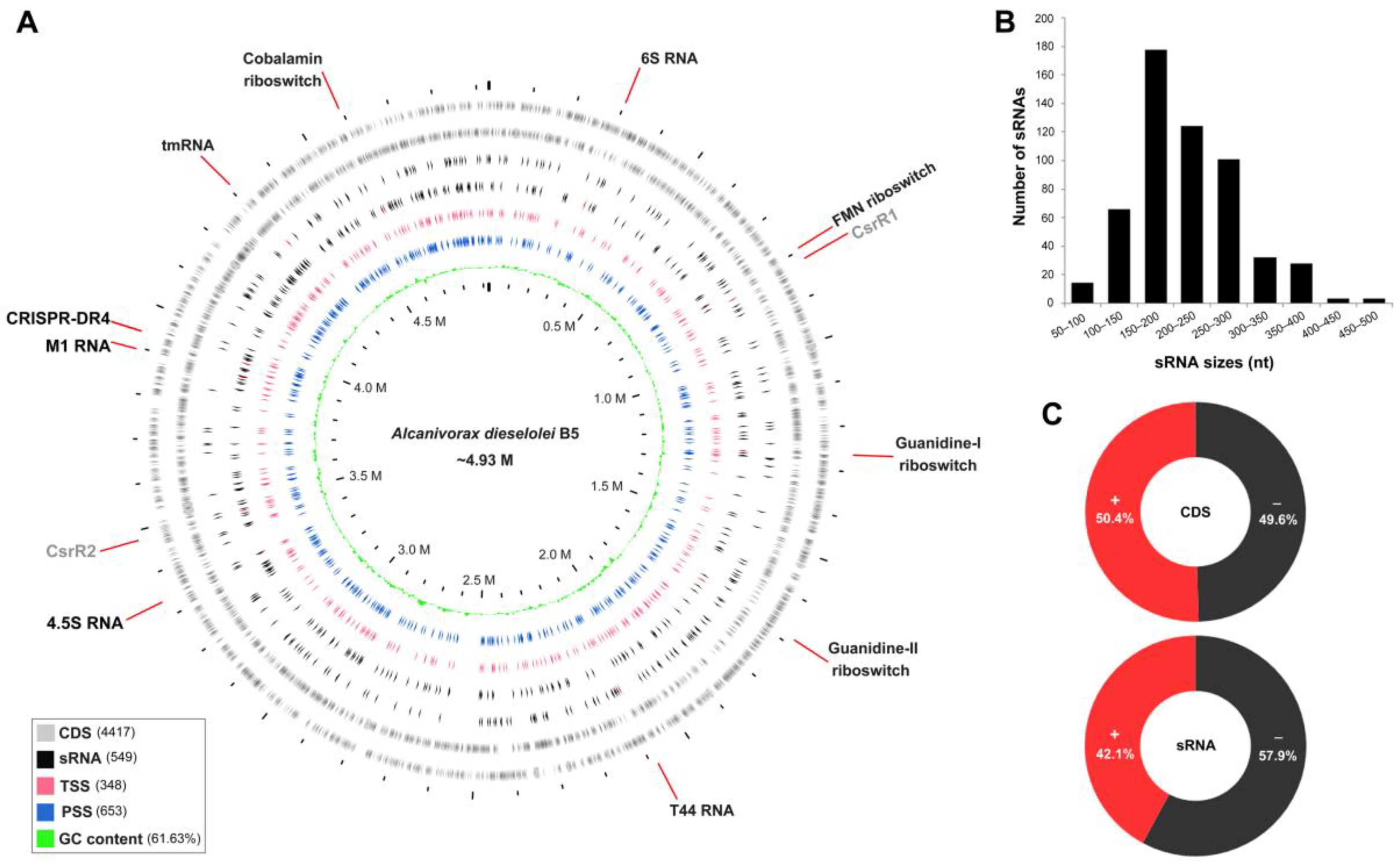 IJMS | Free Full-Text | High-Resolution Small RNAs Landscape