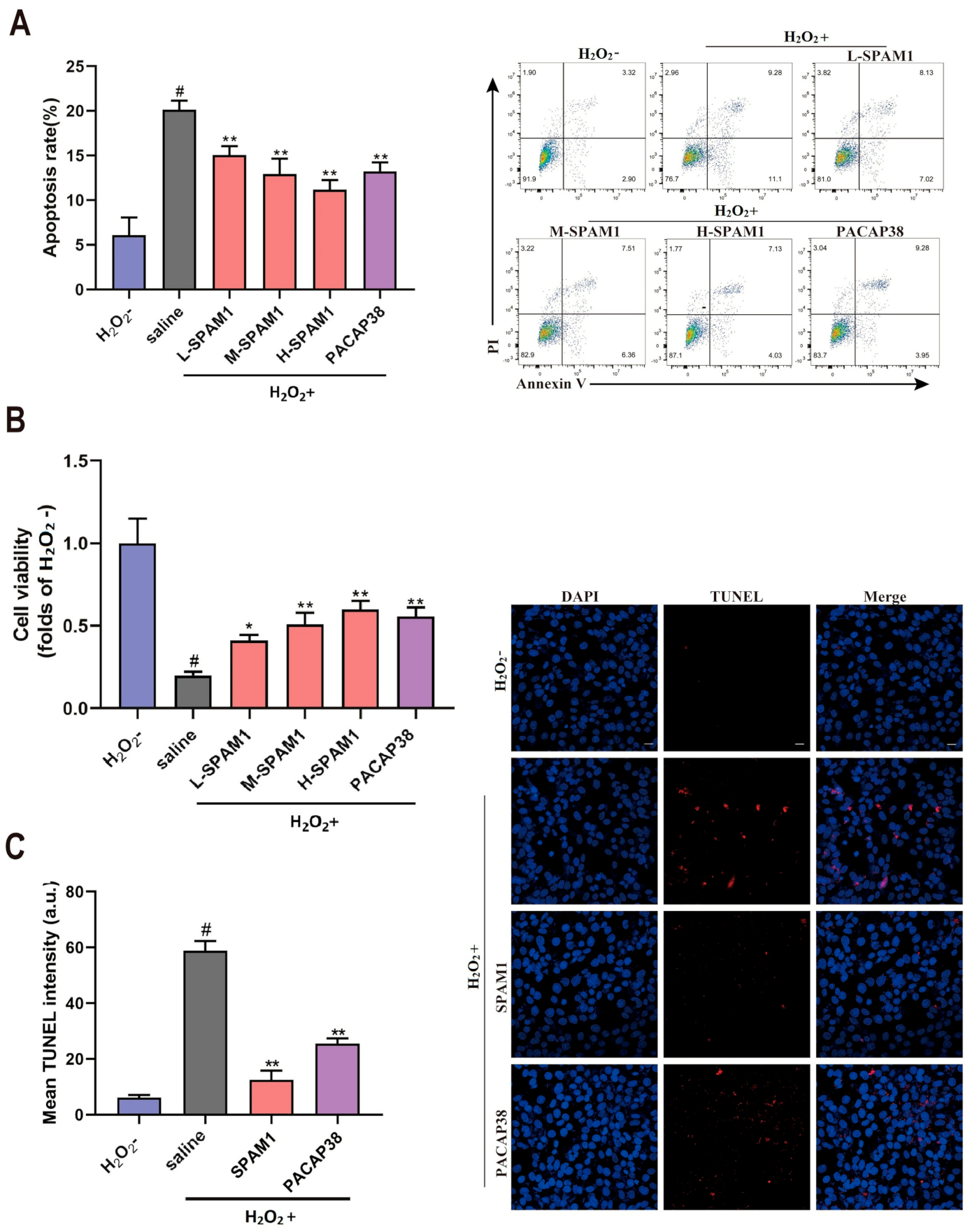 Ijms 23 15996 g003 Ijms 23 15996 g003