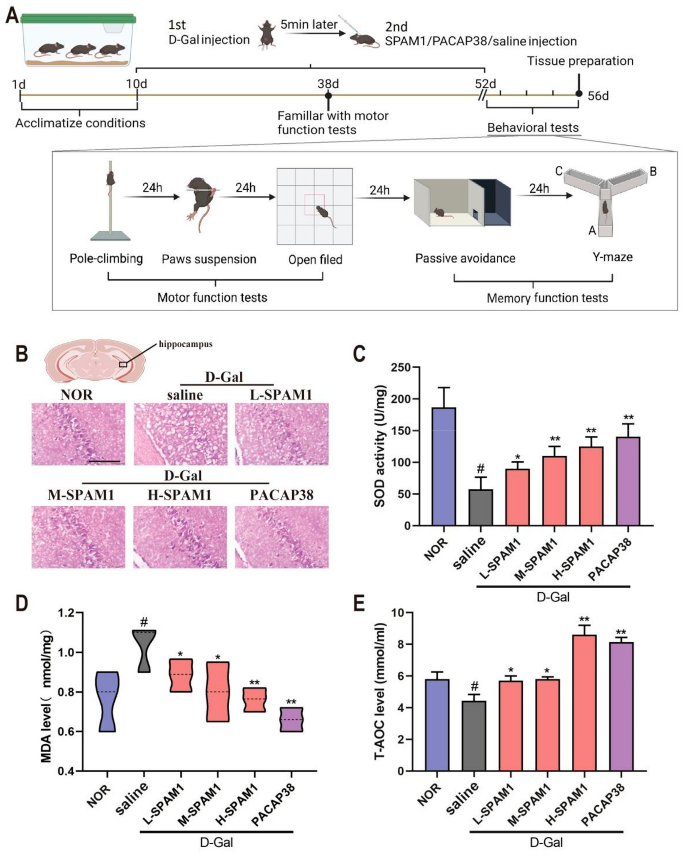 Ijms 23 15996 g004 Ijms 23 15996 g004