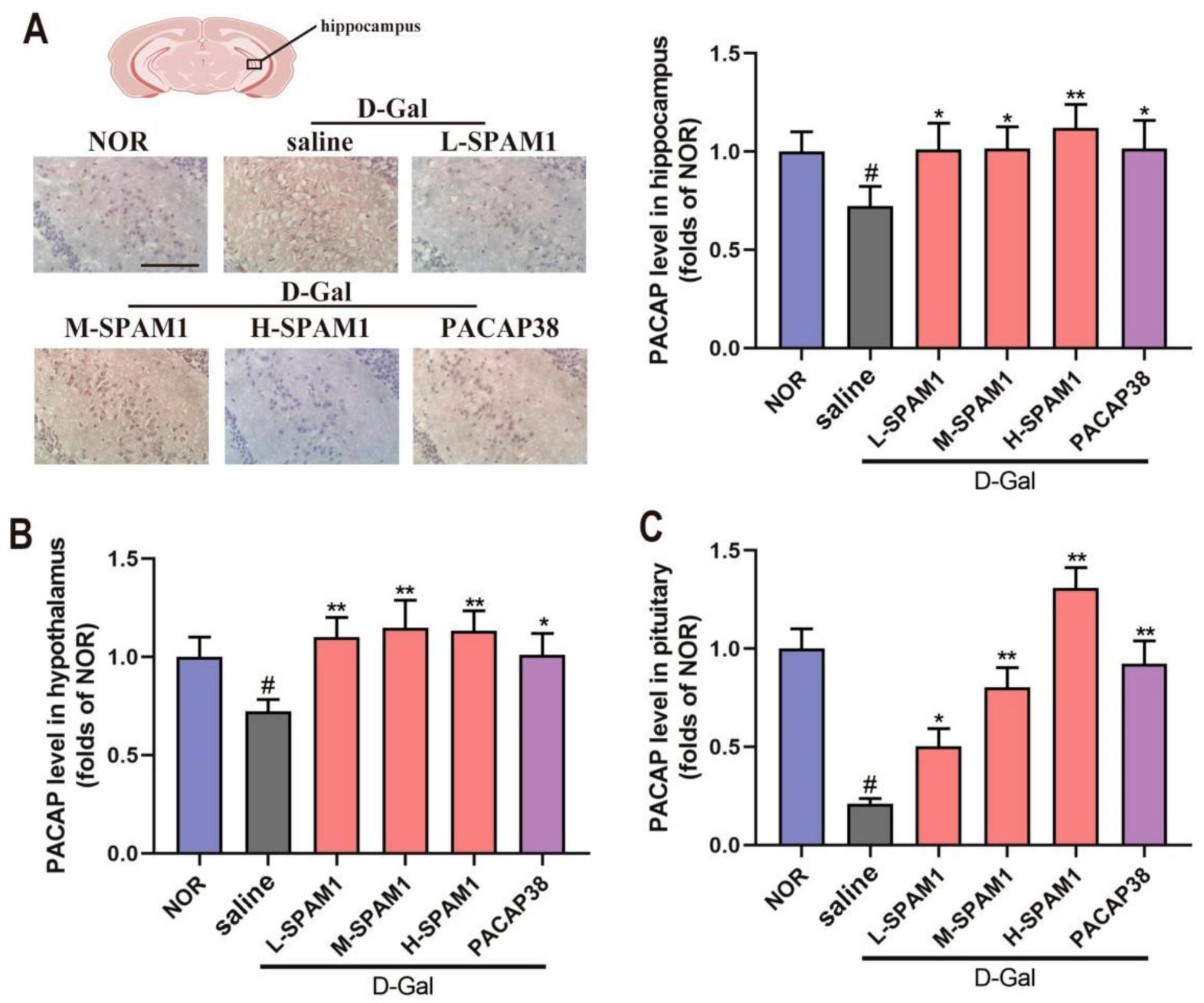 Ijms 23 15996 g007 Ijms 23 15996 g007