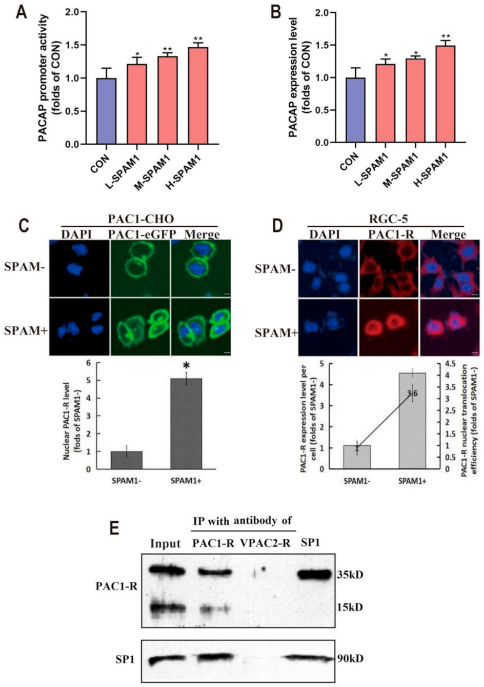 Ijms 23 15996 g008 Ijms 23 15996 g008