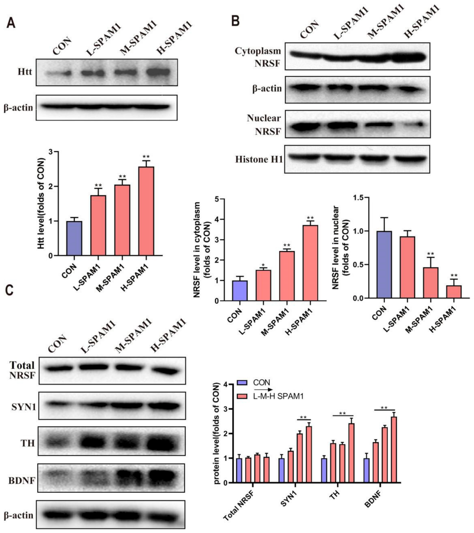 Ijms 23 15996 g009 Ijms 23 15996 g009