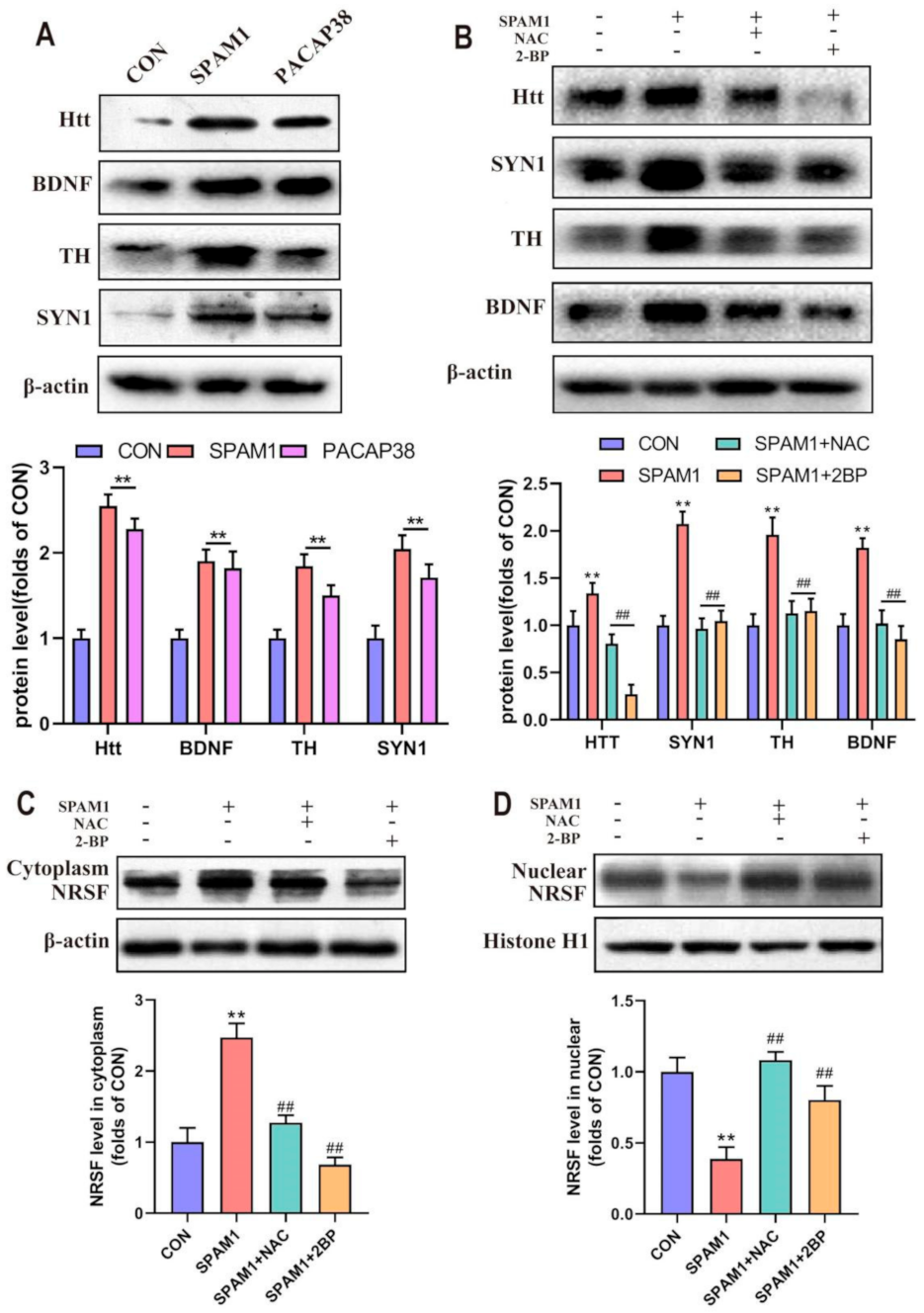 Ijms 23 15996 g010 Ijms 23 15996 g010