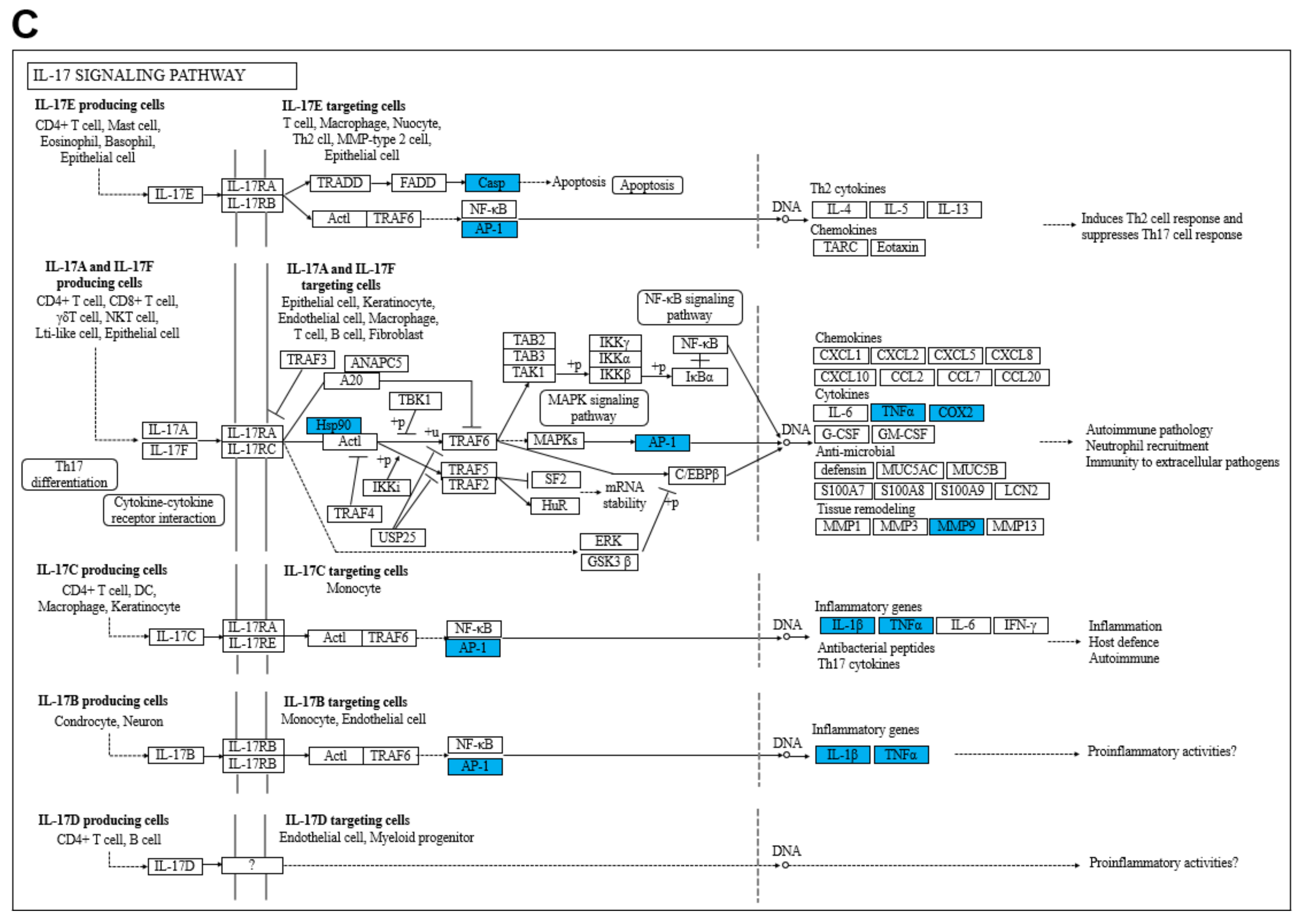 Ijms 23 16000 g005b Ijms 23 16000 g005b