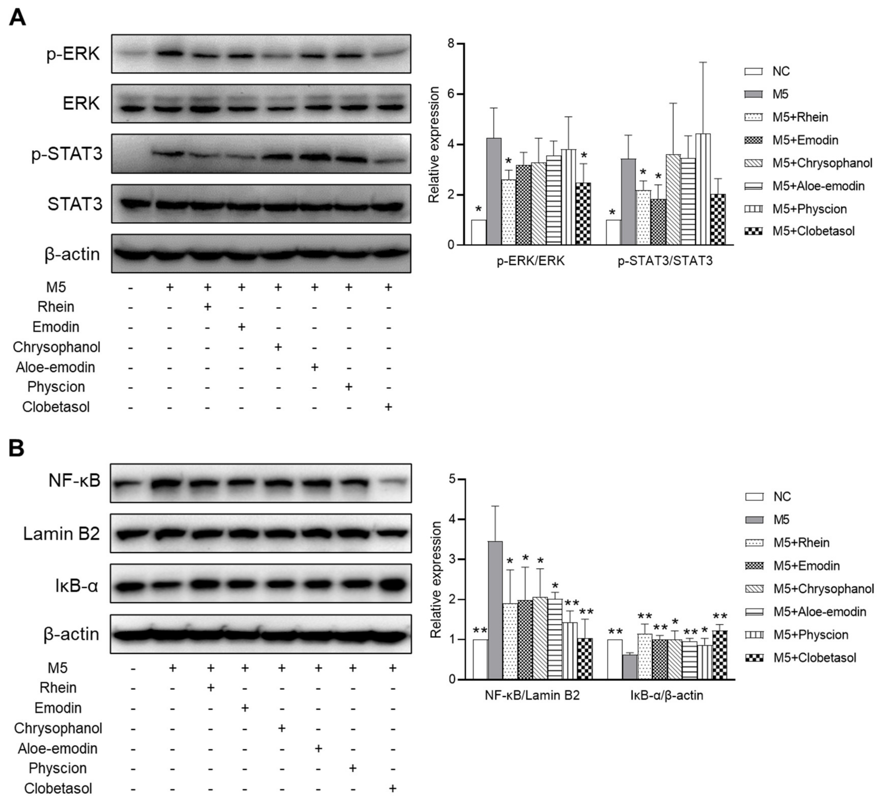 Ijms 23 16000 g008 Ijms 23 16000 g008