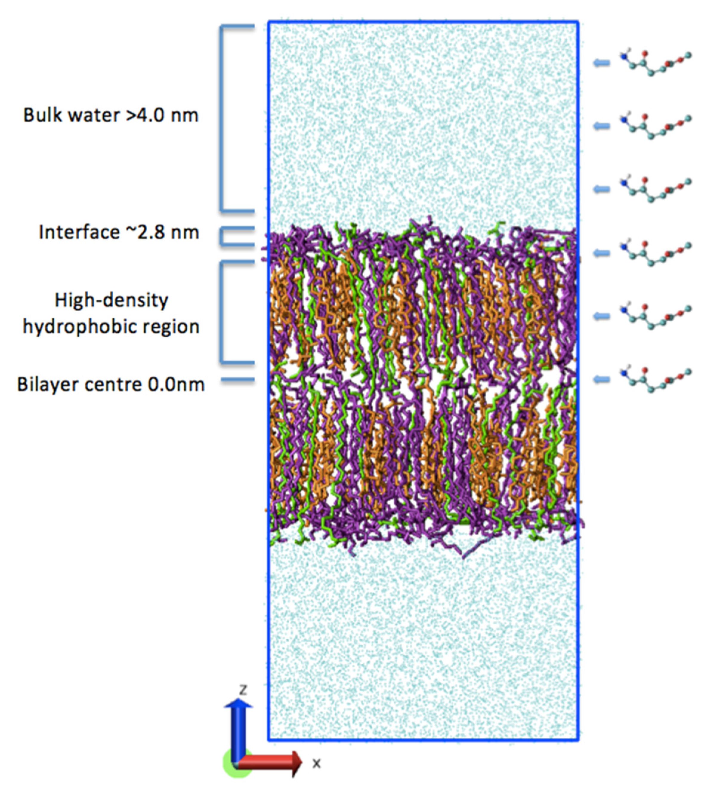 Ijms 23 16001 g007 Ijms 23 16001 g007
