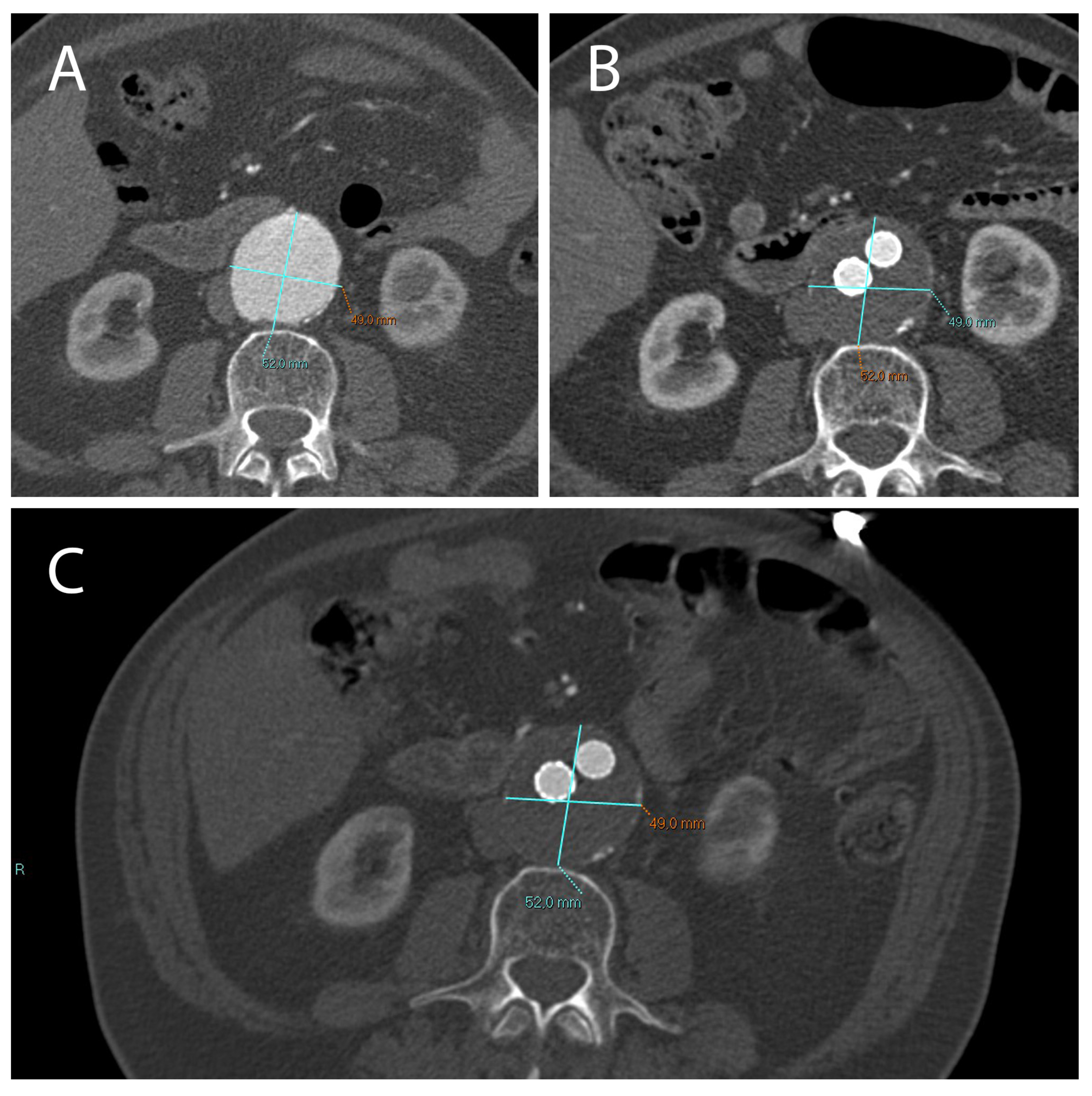 Ijms 23 16015 g003 Ijms 23 16015 g003