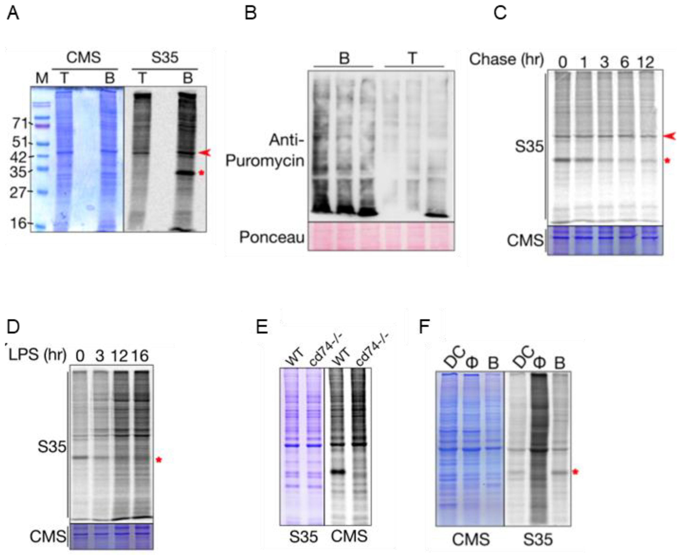 Ijms 23 16017 g001 Ijms 23 16017 g001