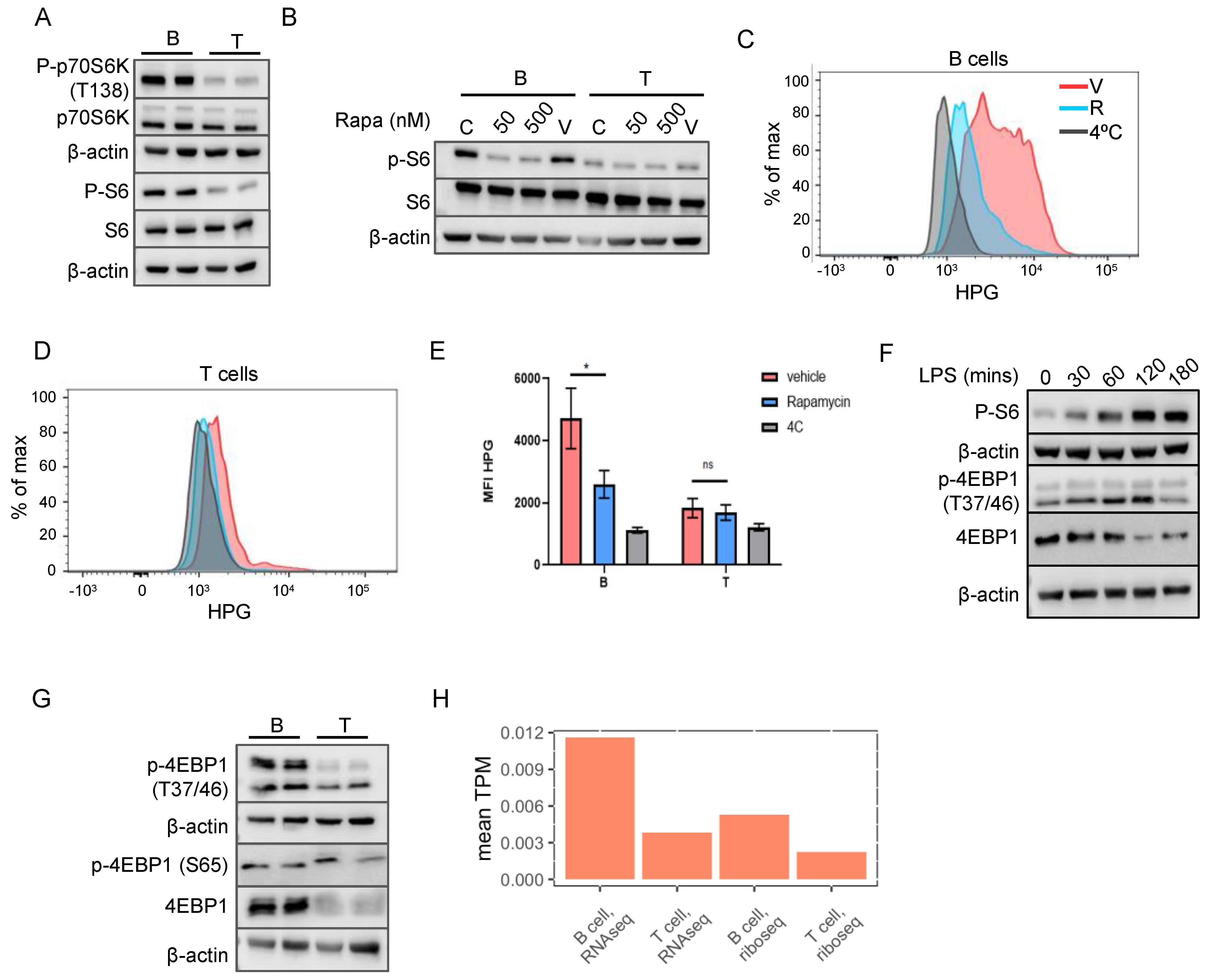 Ijms 23 16017 g003 Ijms 23 16017 g003