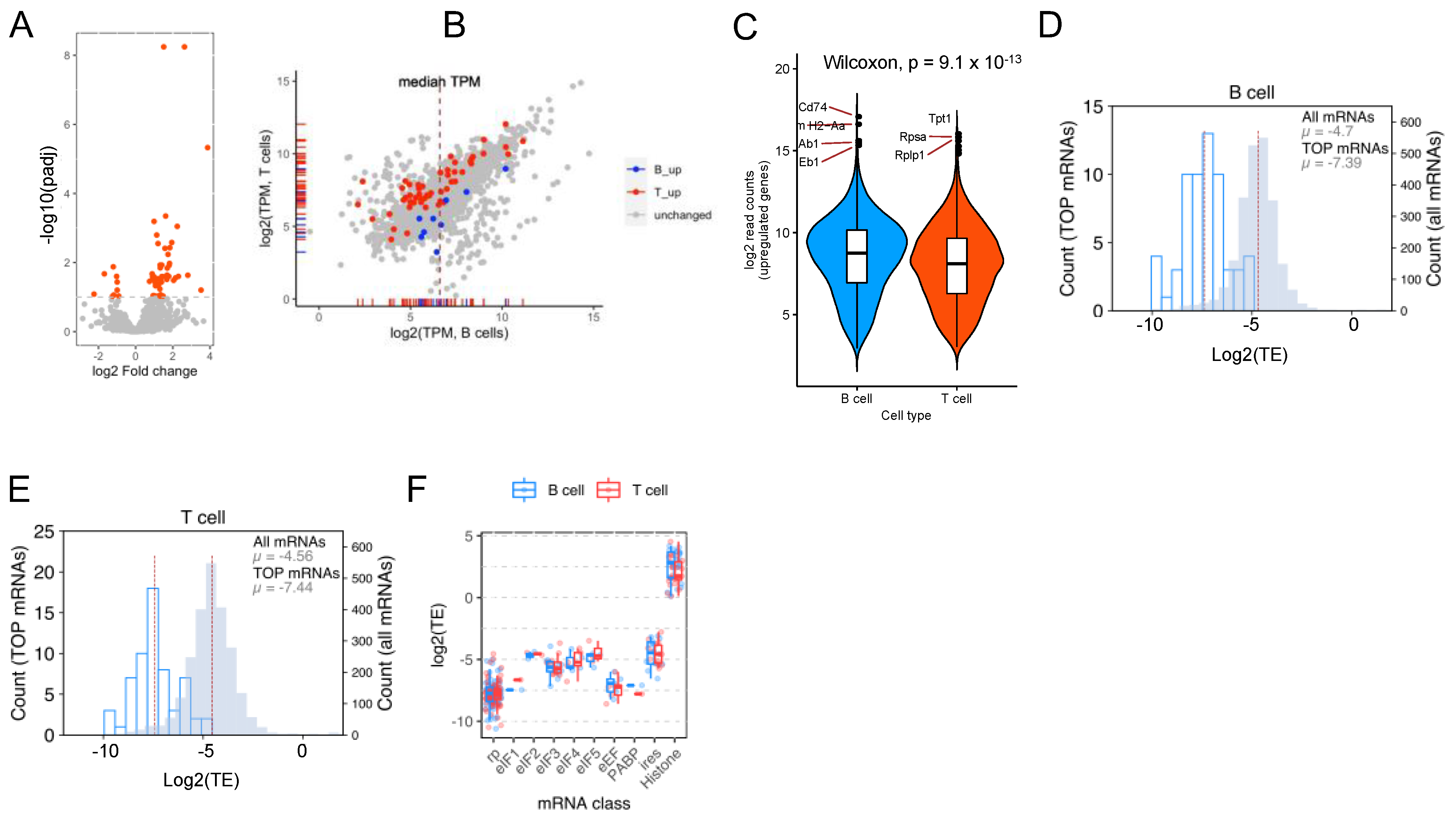 Ijms 23 16017 g004 Ijms 23 16017 g004