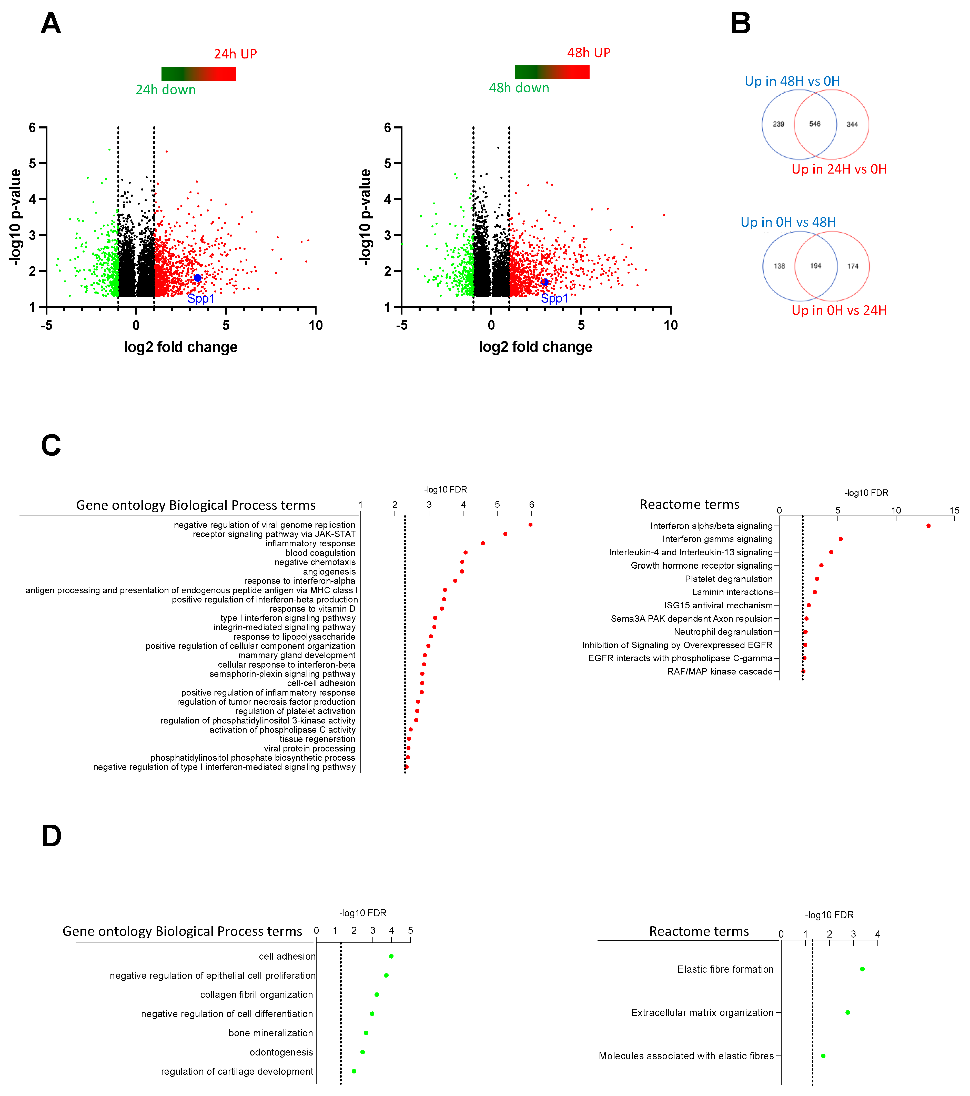 Ijms 23 16028 g004 Ijms 23 16028 g004