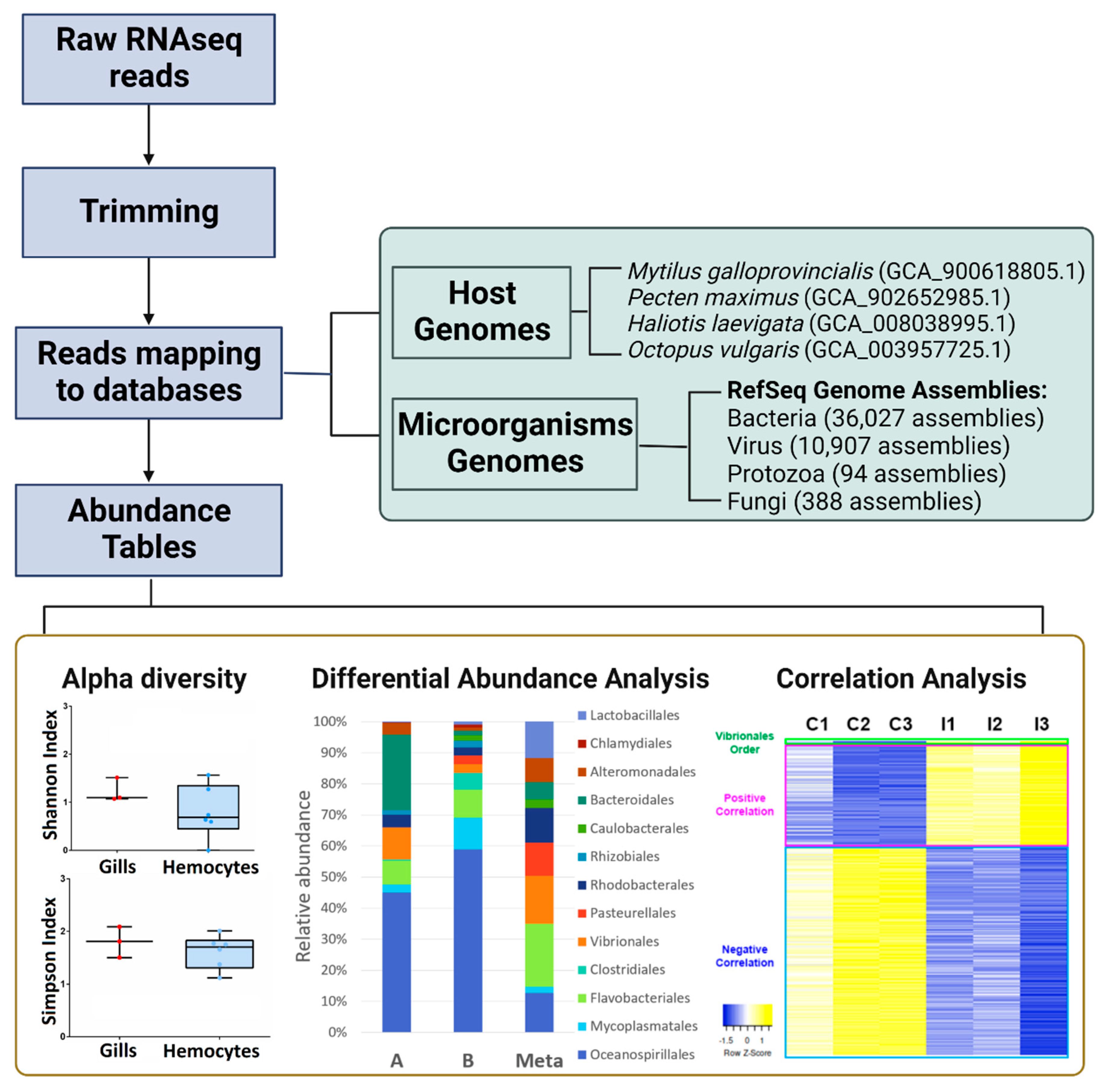 PDF) RNA-Seq in Mytilus galloprovincialis: Comparative