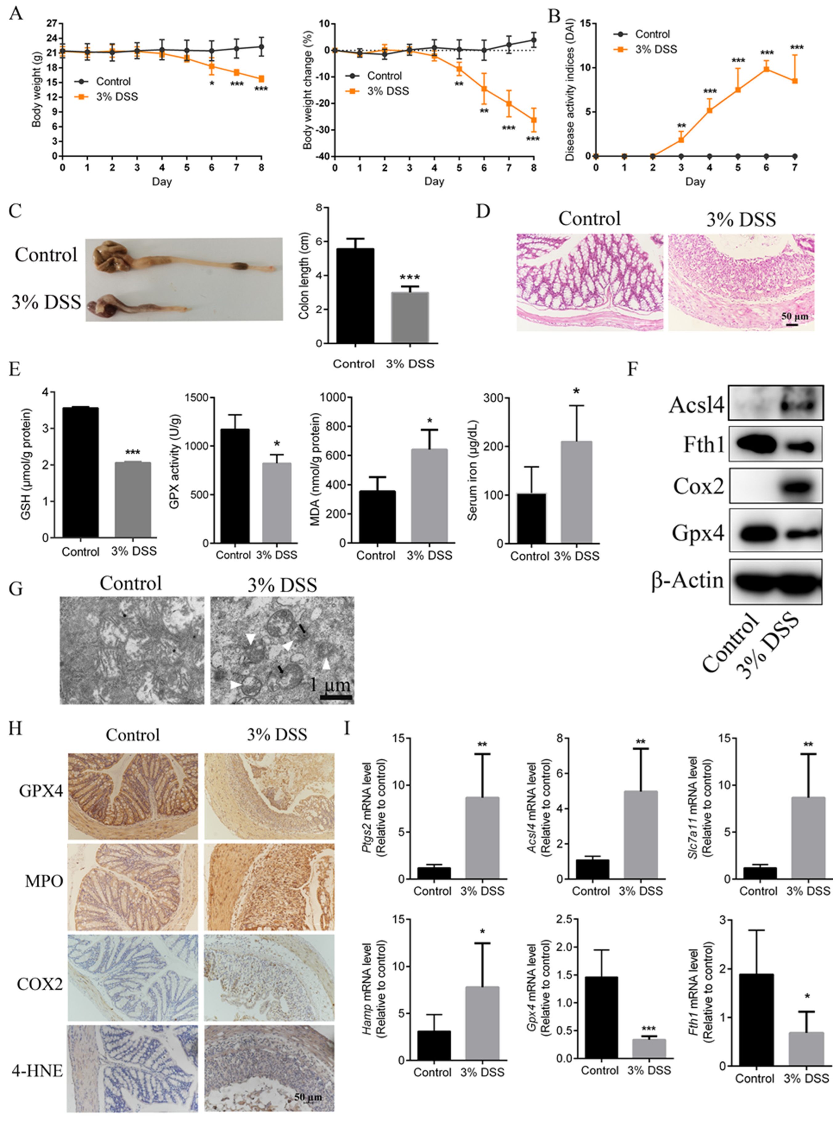 Ijms 23 16055 g001 Ijms 23 16055 g001