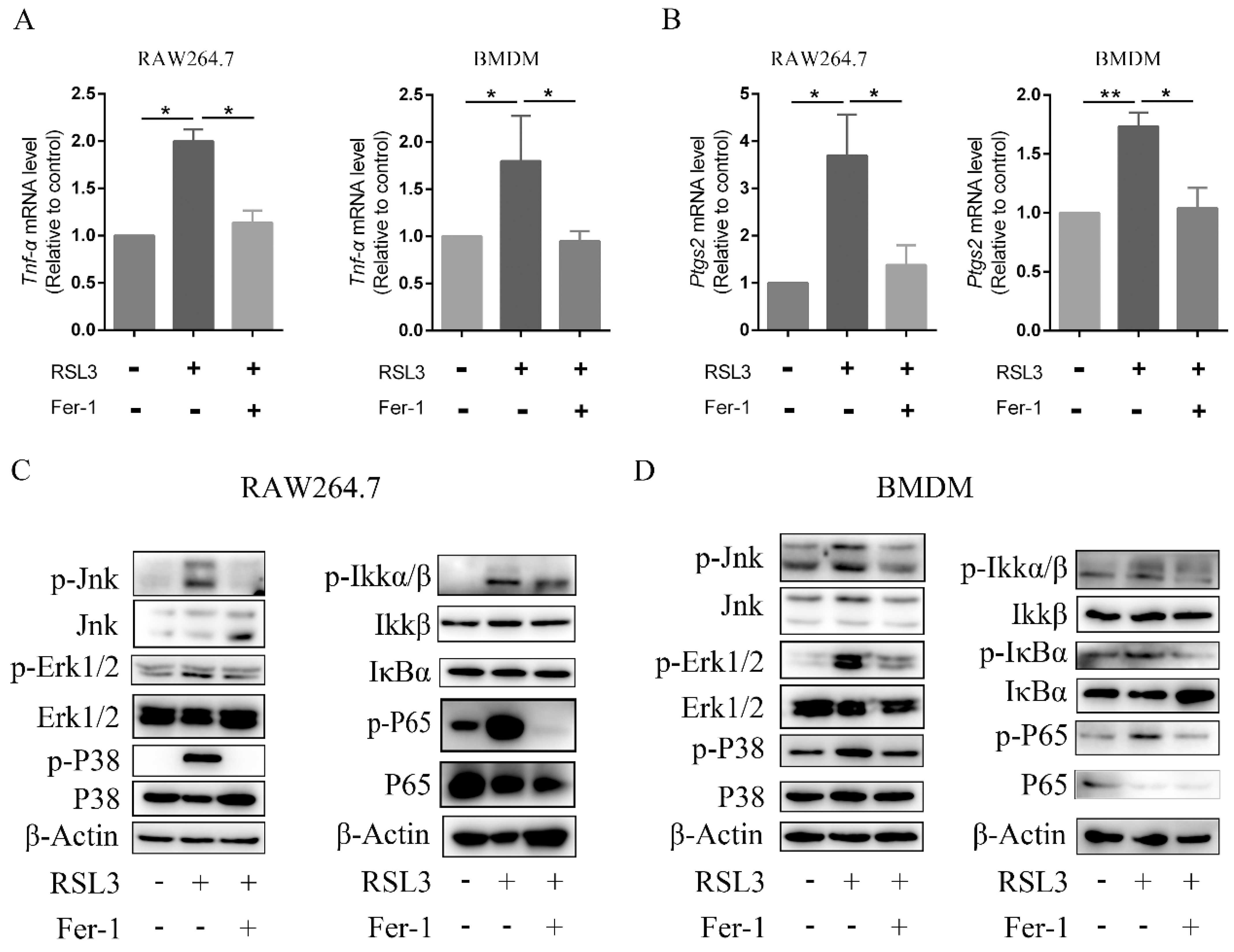 Ijms 23 16055 g003 Ijms 23 16055 g003