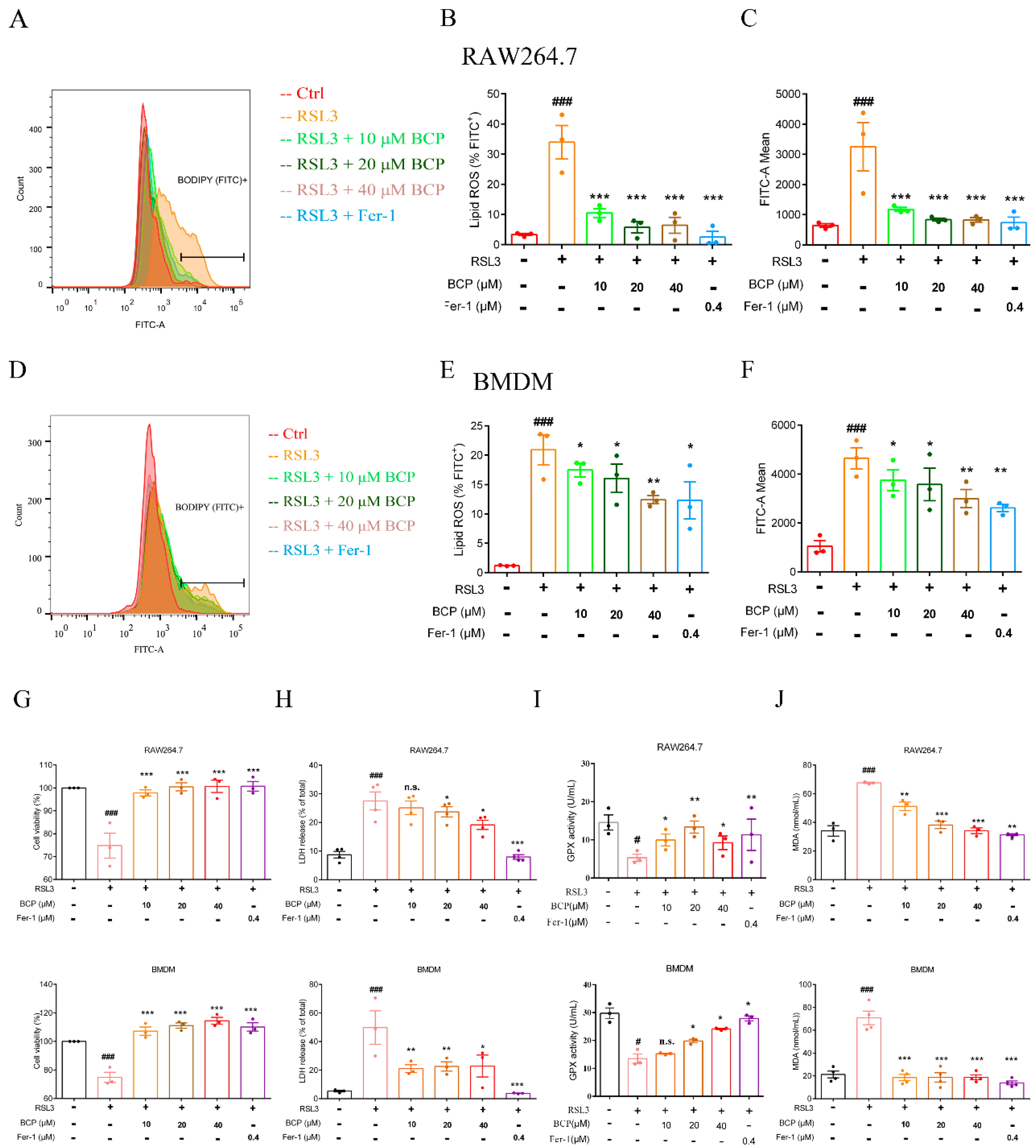 Ijms 23 16055 g004 Ijms 23 16055 g004