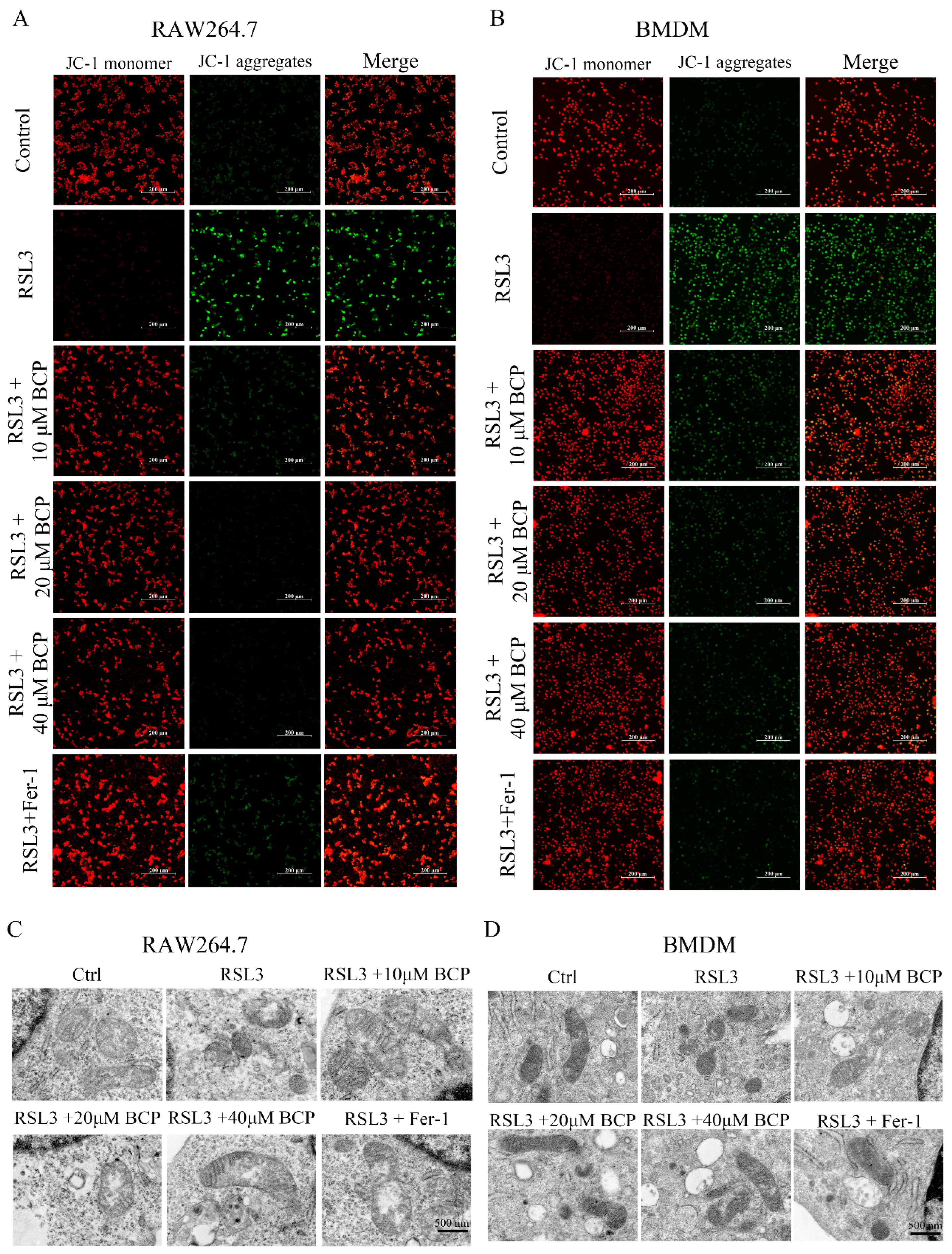 Ijms 23 16055 g005 Ijms 23 16055 g005