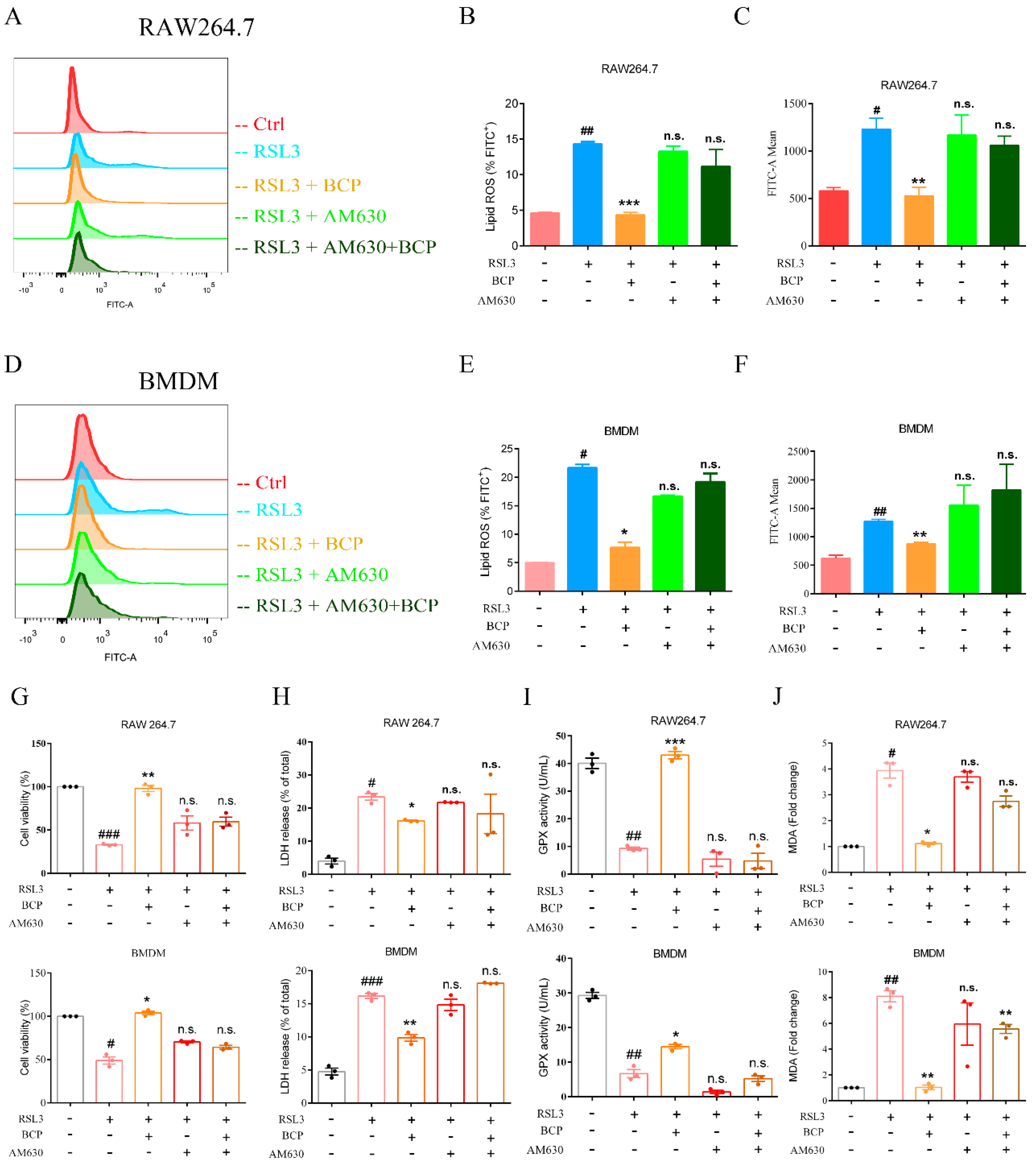 Ijms 23 16055 g007 Ijms 23 16055 g007
