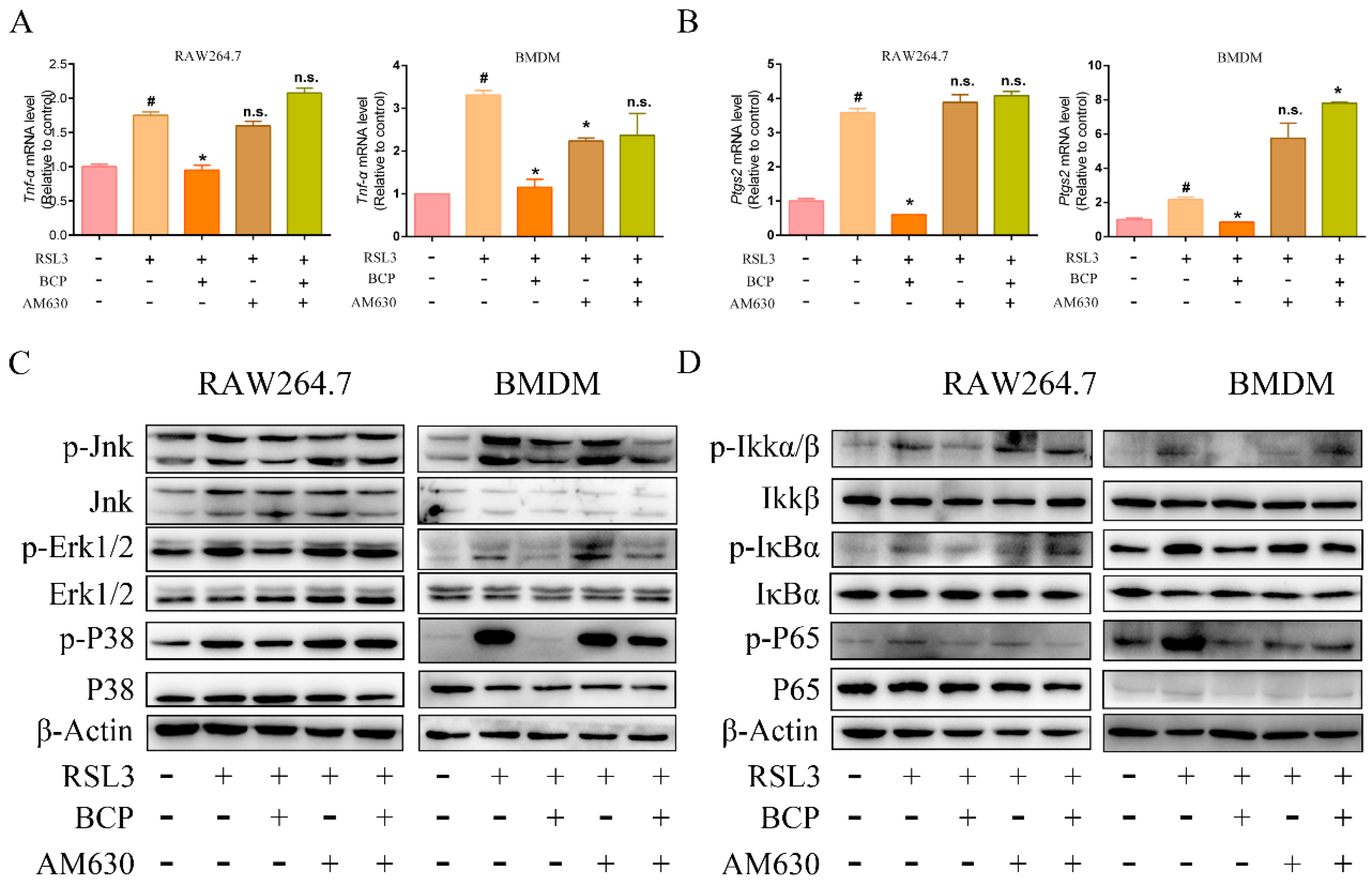 Ijms 23 16055 g010 Ijms 23 16055 g010