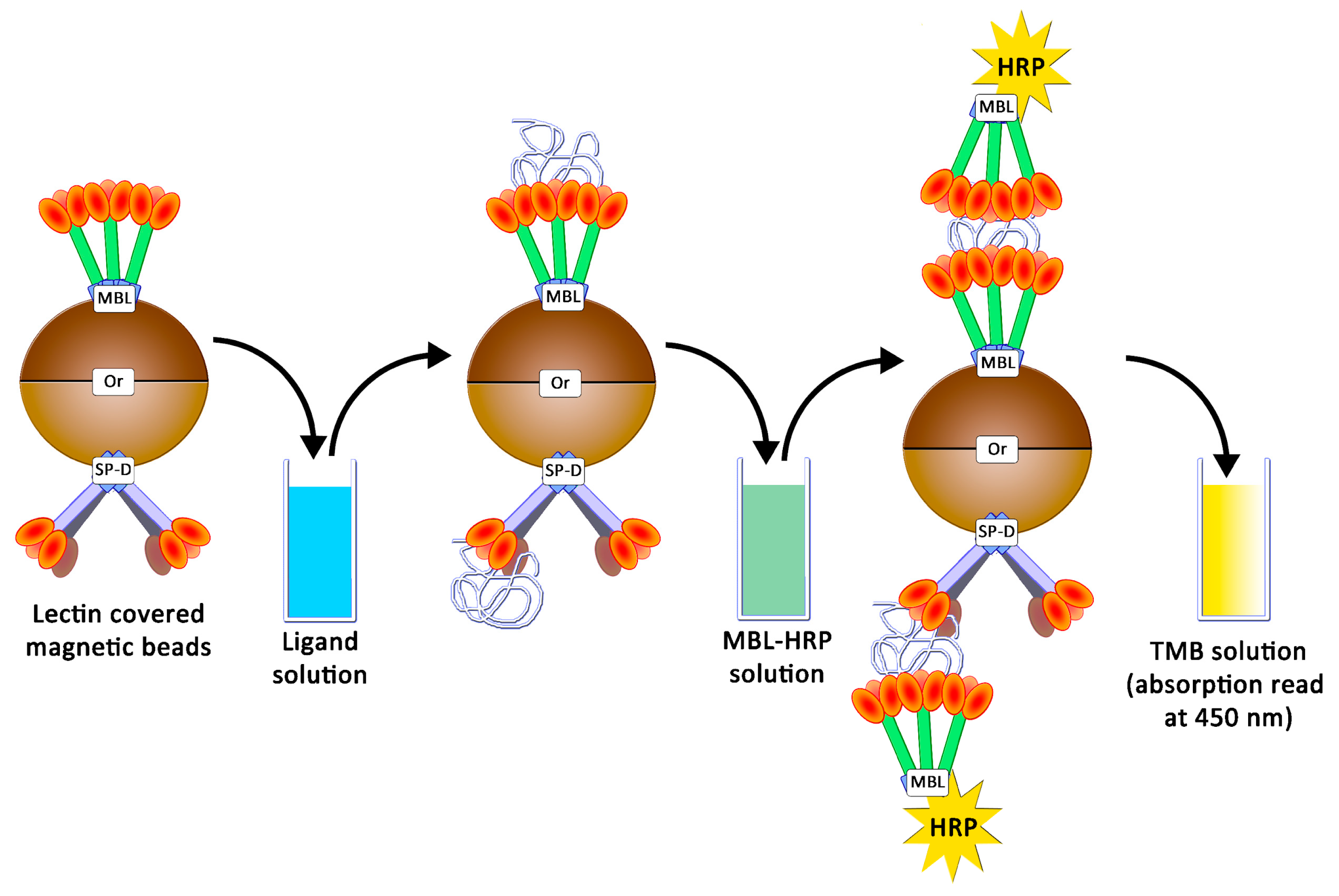 Ijms 23 16067 g006 Ijms 23 16067 g006