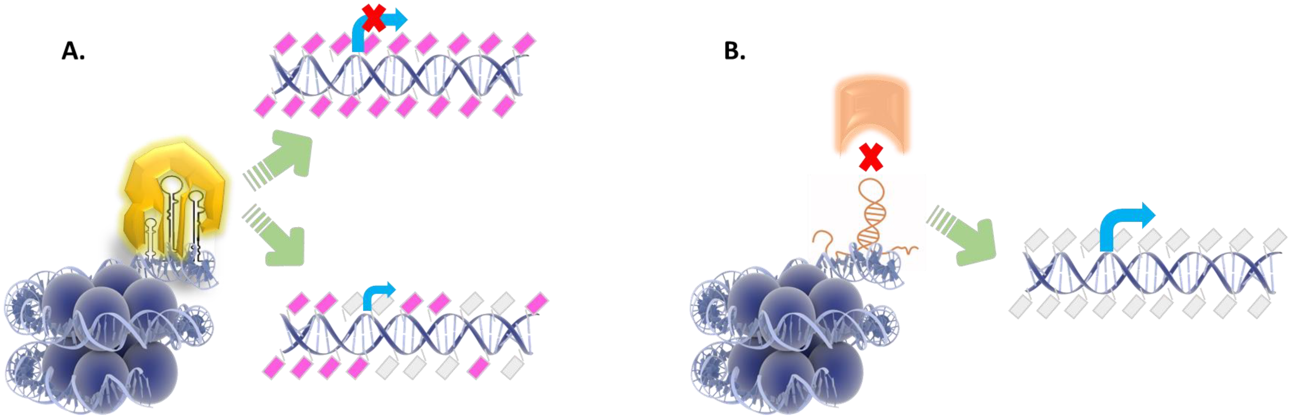 Ijms 23 16069 g002 Ijms 23 16069 g002