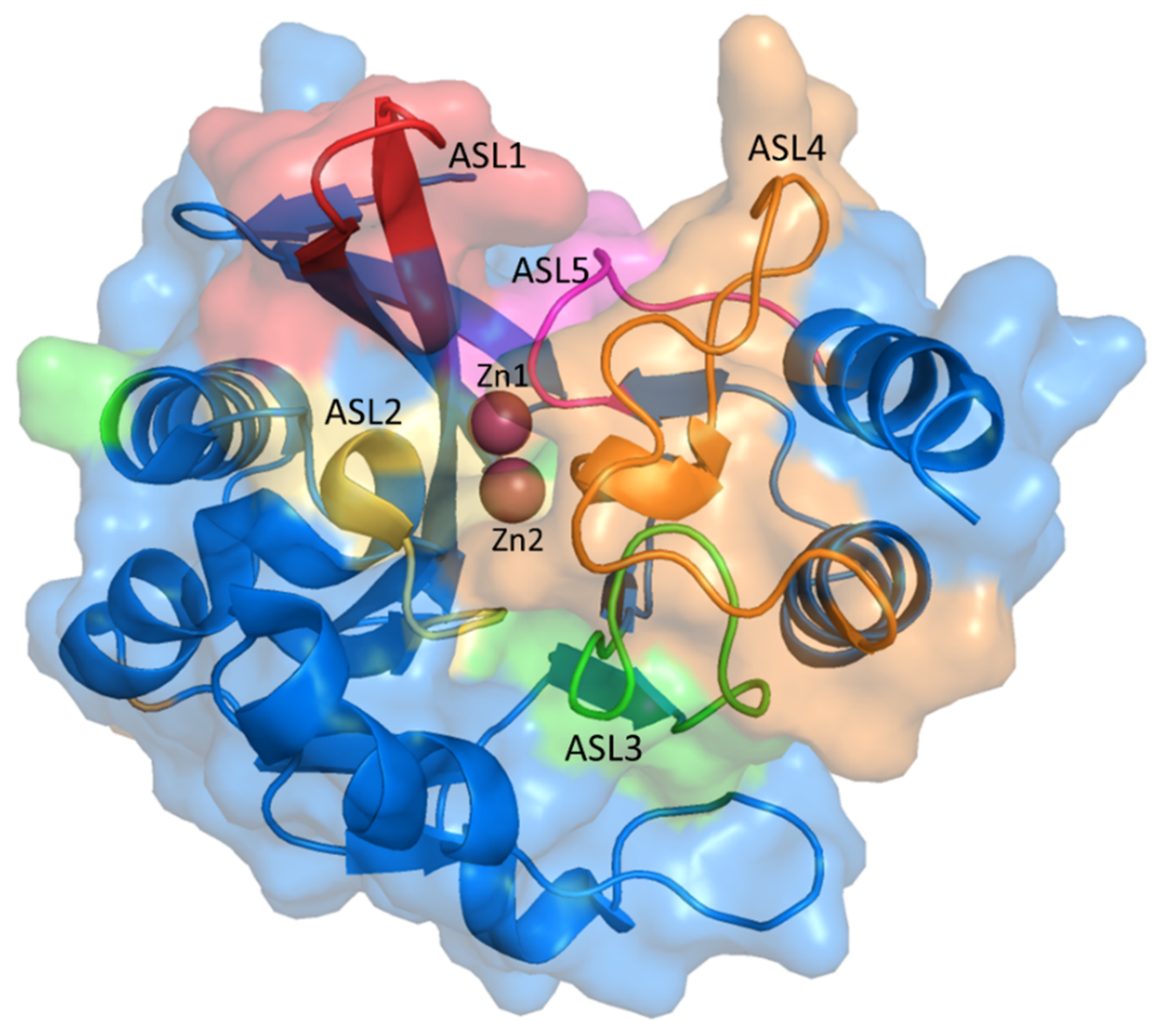 Ijms 23 16083 g001 Ijms 23 16083 g001