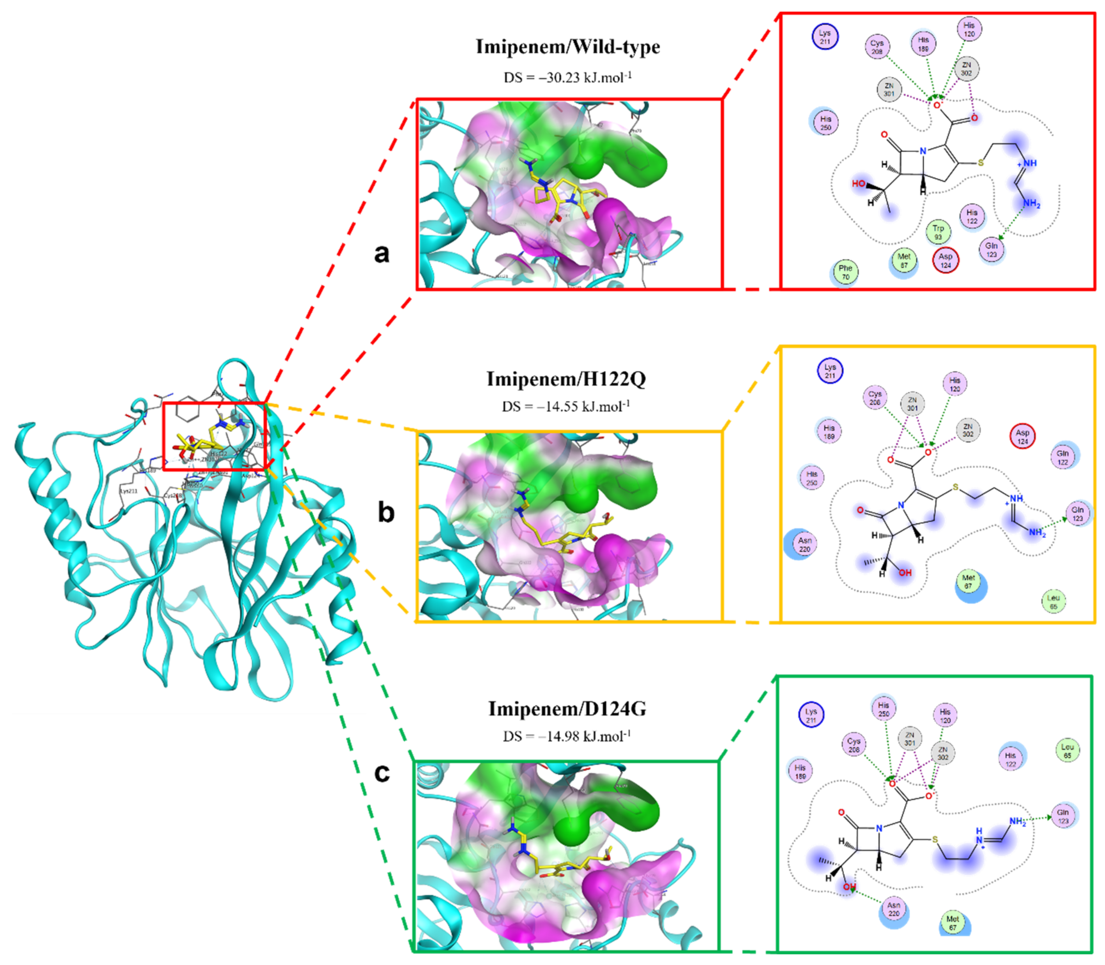 Ijms 23 16083 g004 Ijms 23 16083 g004