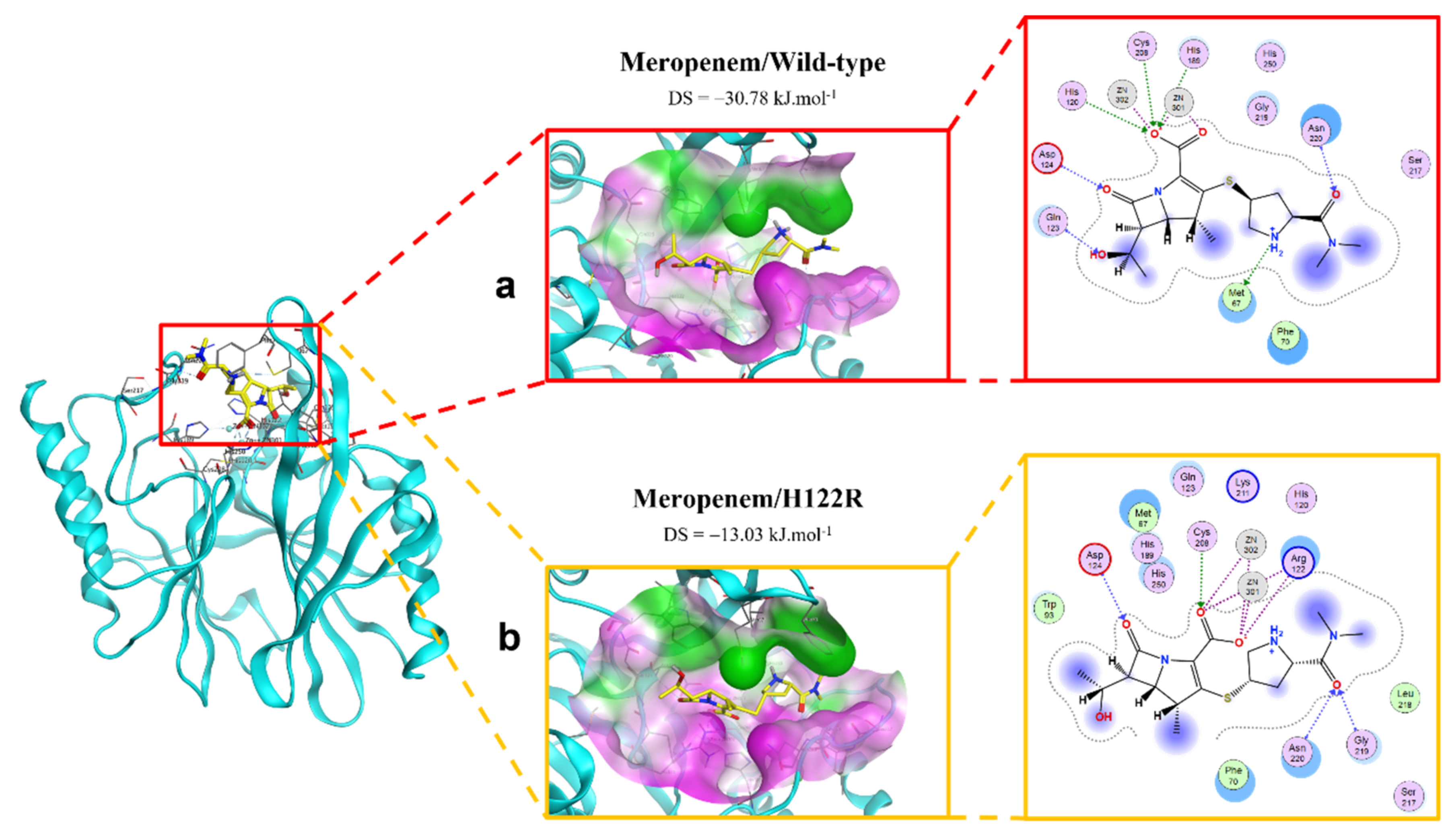 Ijms 23 16083 g005 Ijms 23 16083 g005