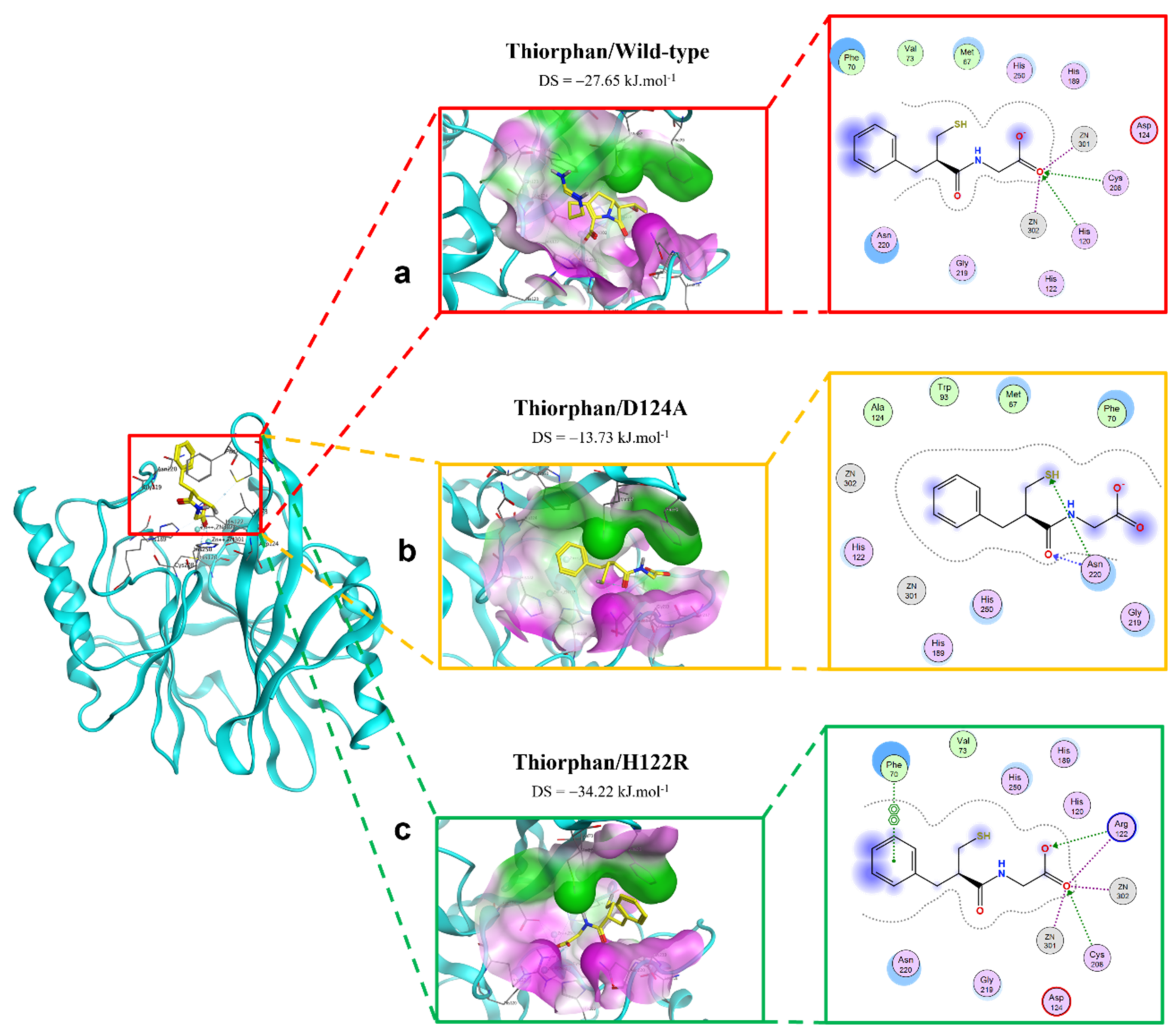 Ijms 23 16083 g006 Ijms 23 16083 g006