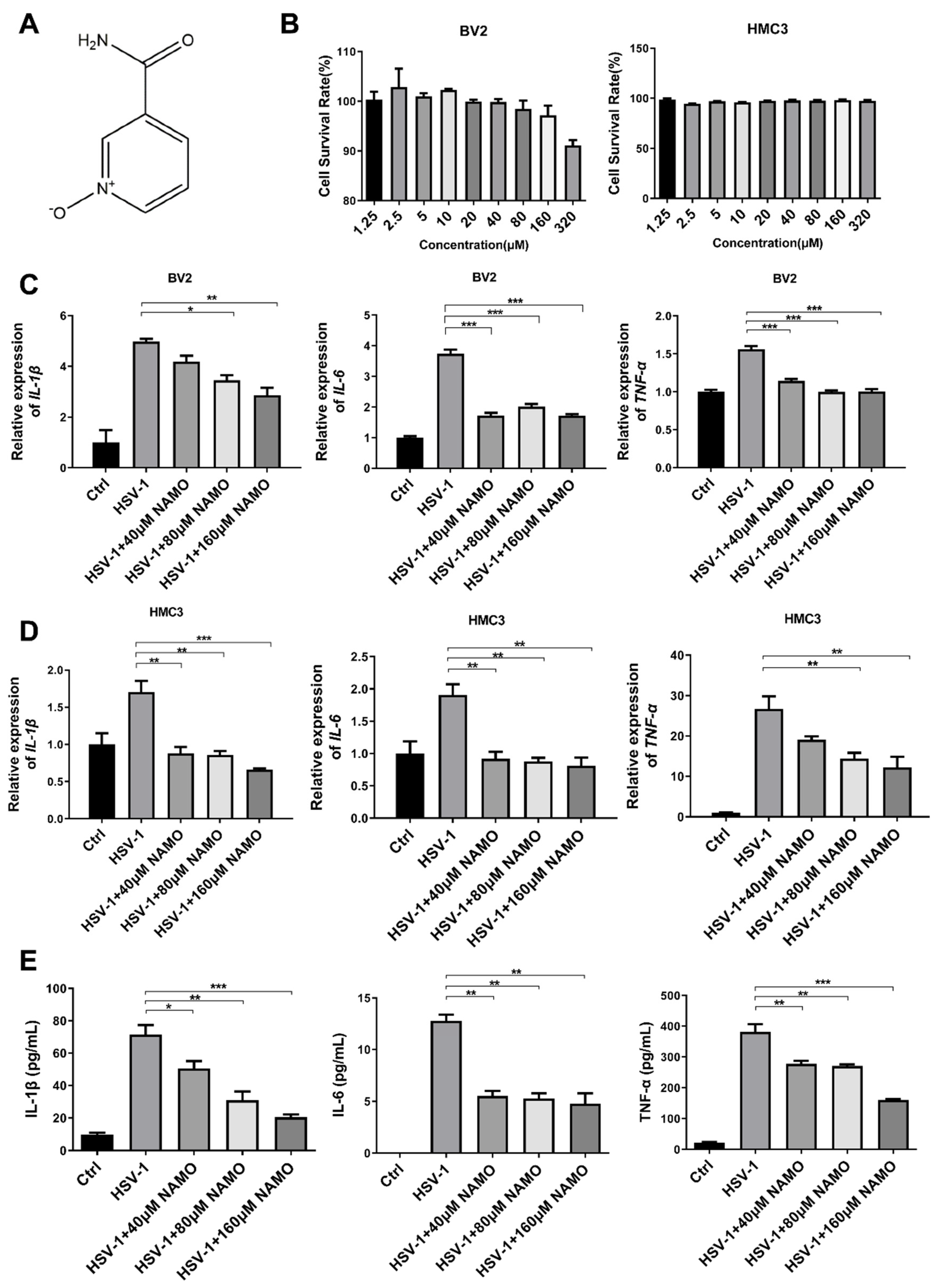 Ijms 23 16085 g001 Ijms 23 16085 g001