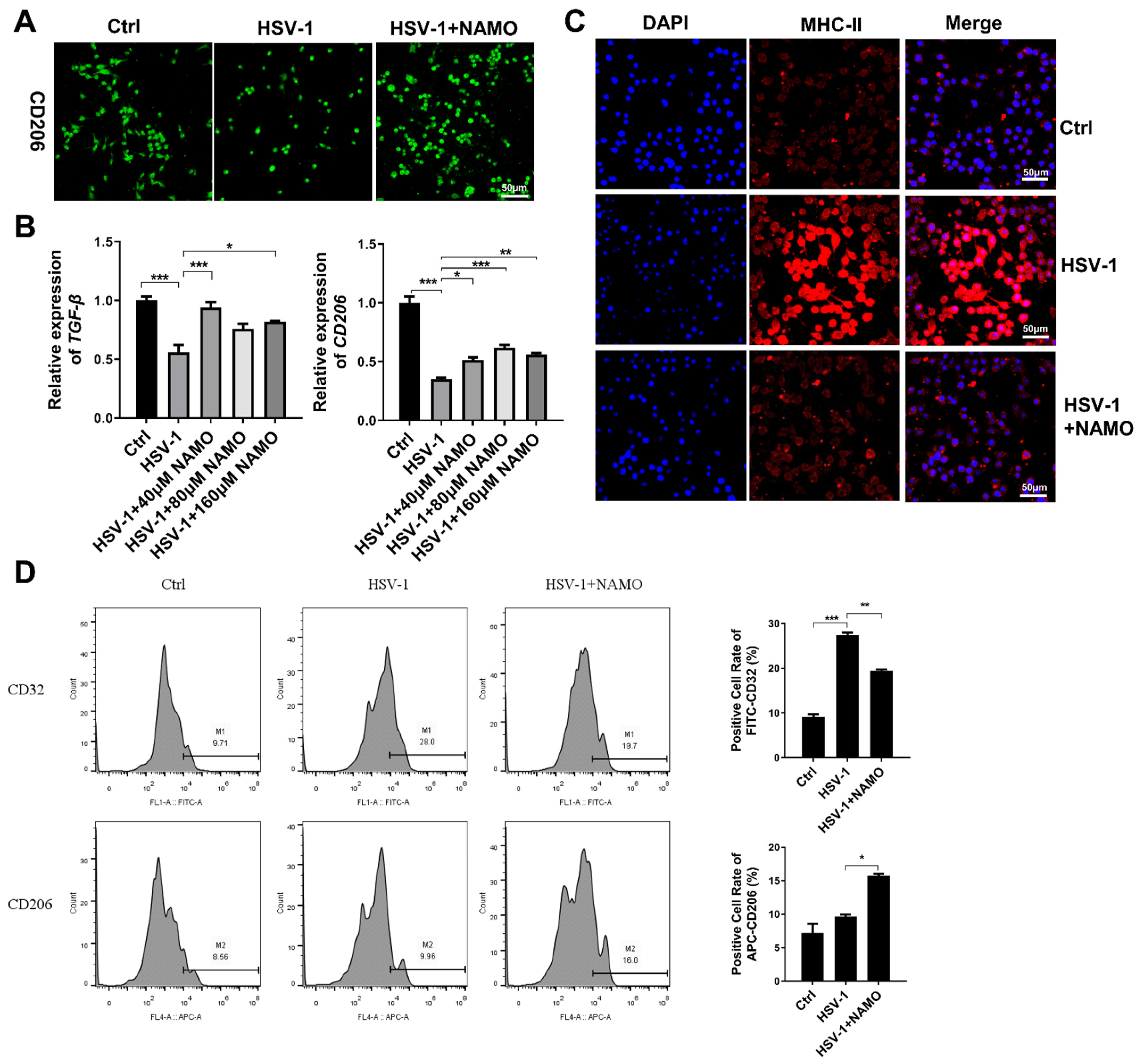 Ijms 23 16085 g002 Ijms 23 16085 g002