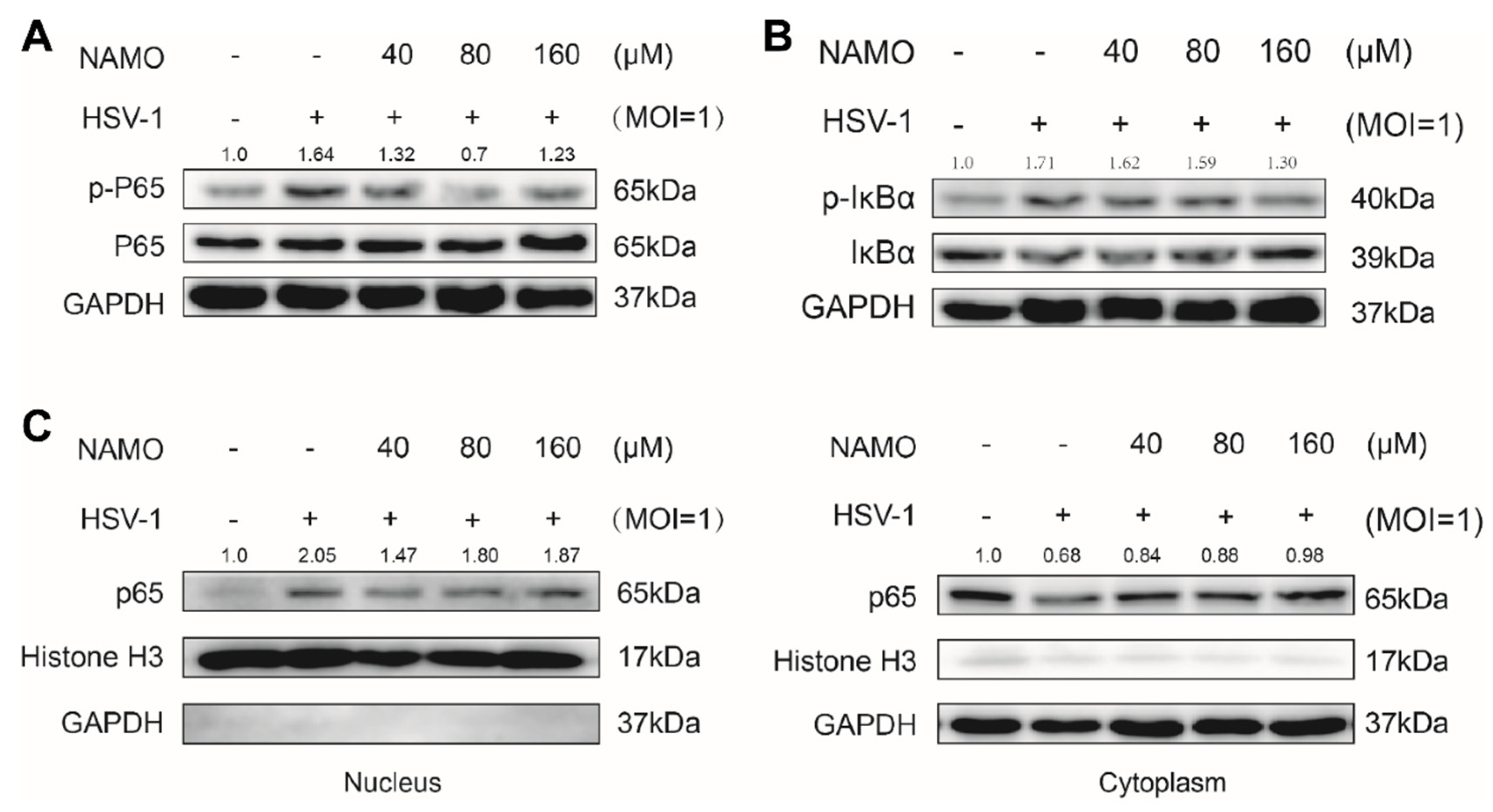Ijms 23 16085 g003 Ijms 23 16085 g003
