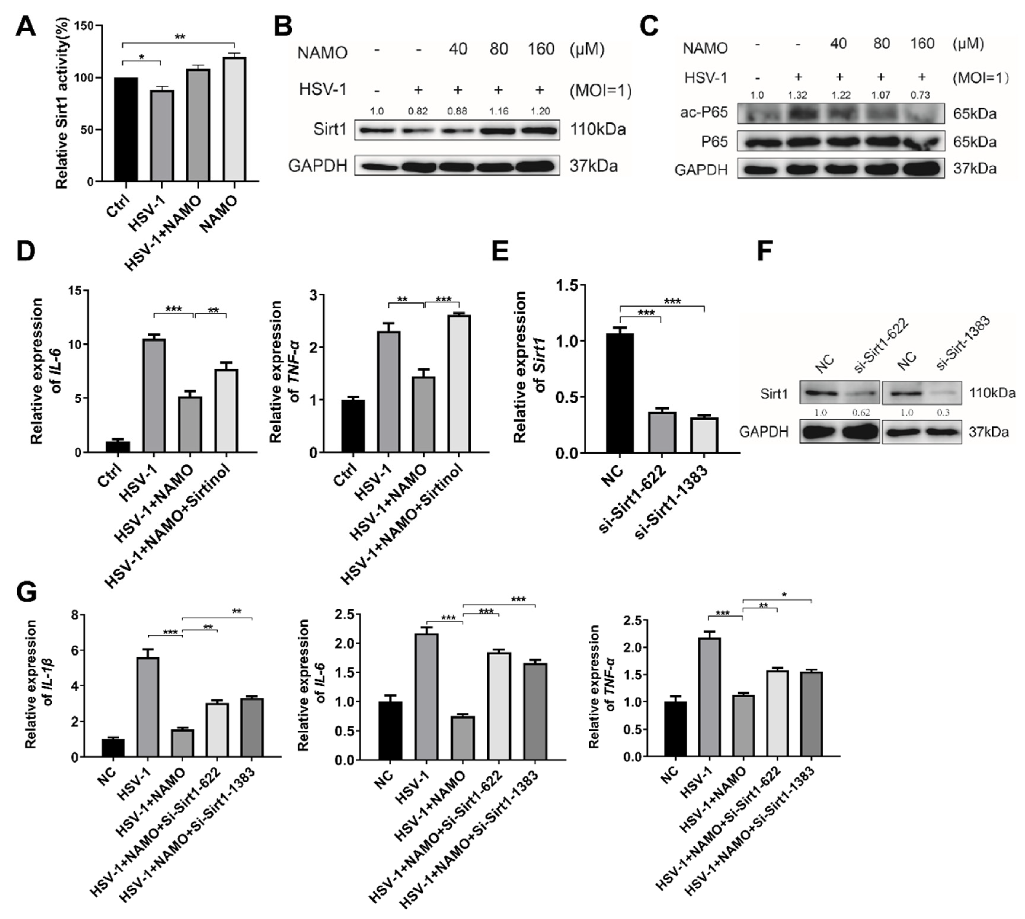Ijms 23 16085 g004 Ijms 23 16085 g004