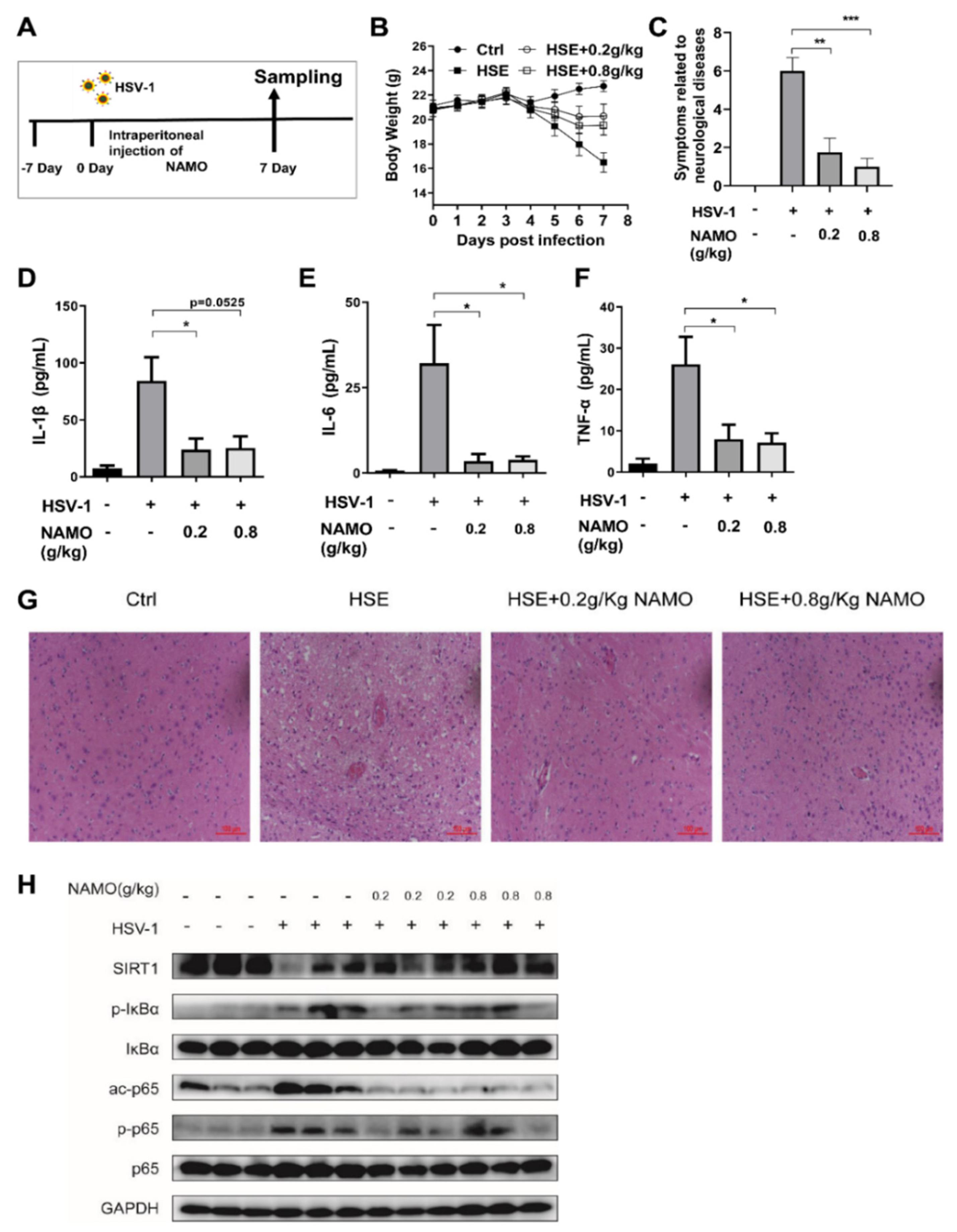 Ijms 23 16085 g005 Ijms 23 16085 g005