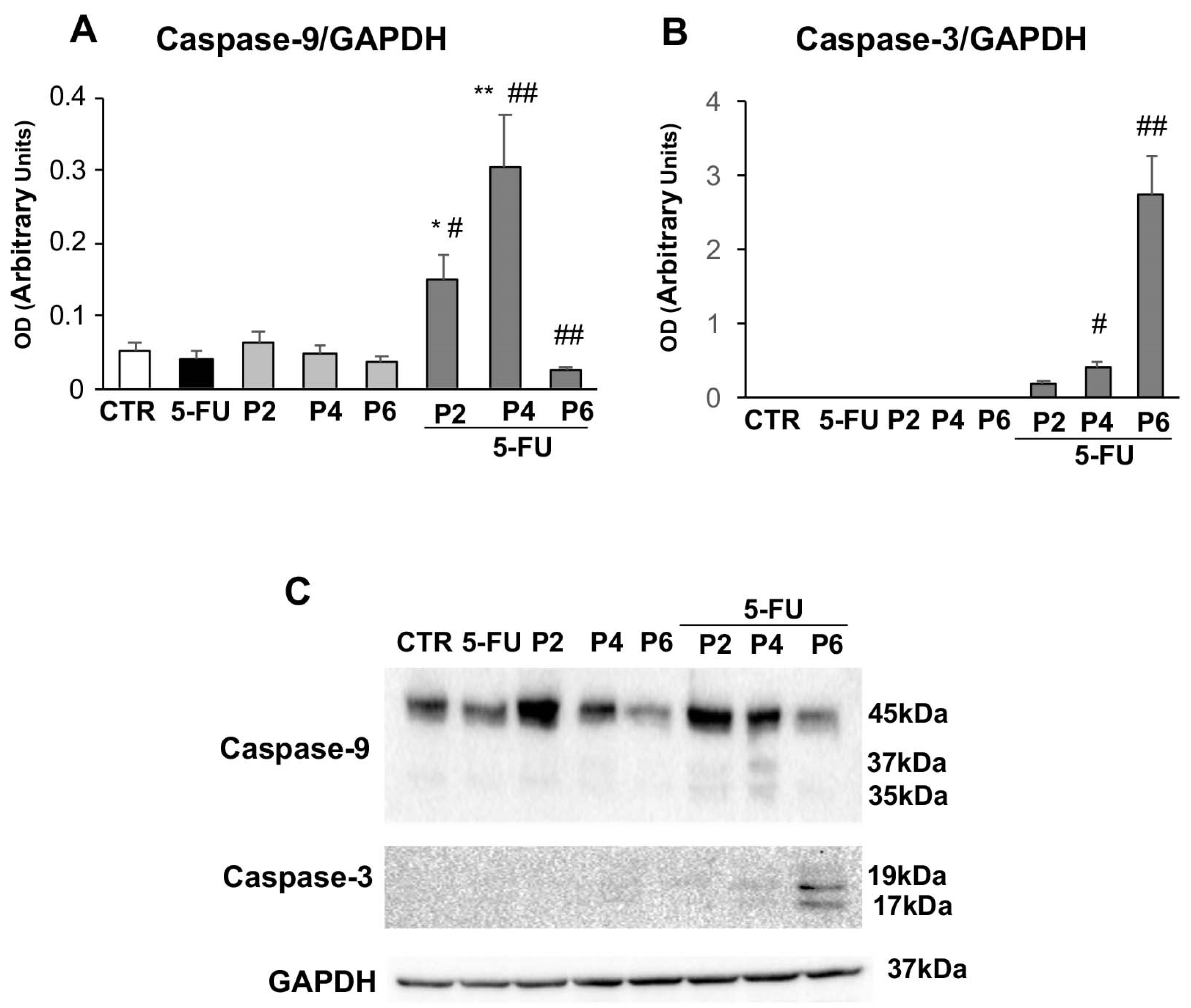 Ijms 23 16098 g006 Ijms 23 16098 g006