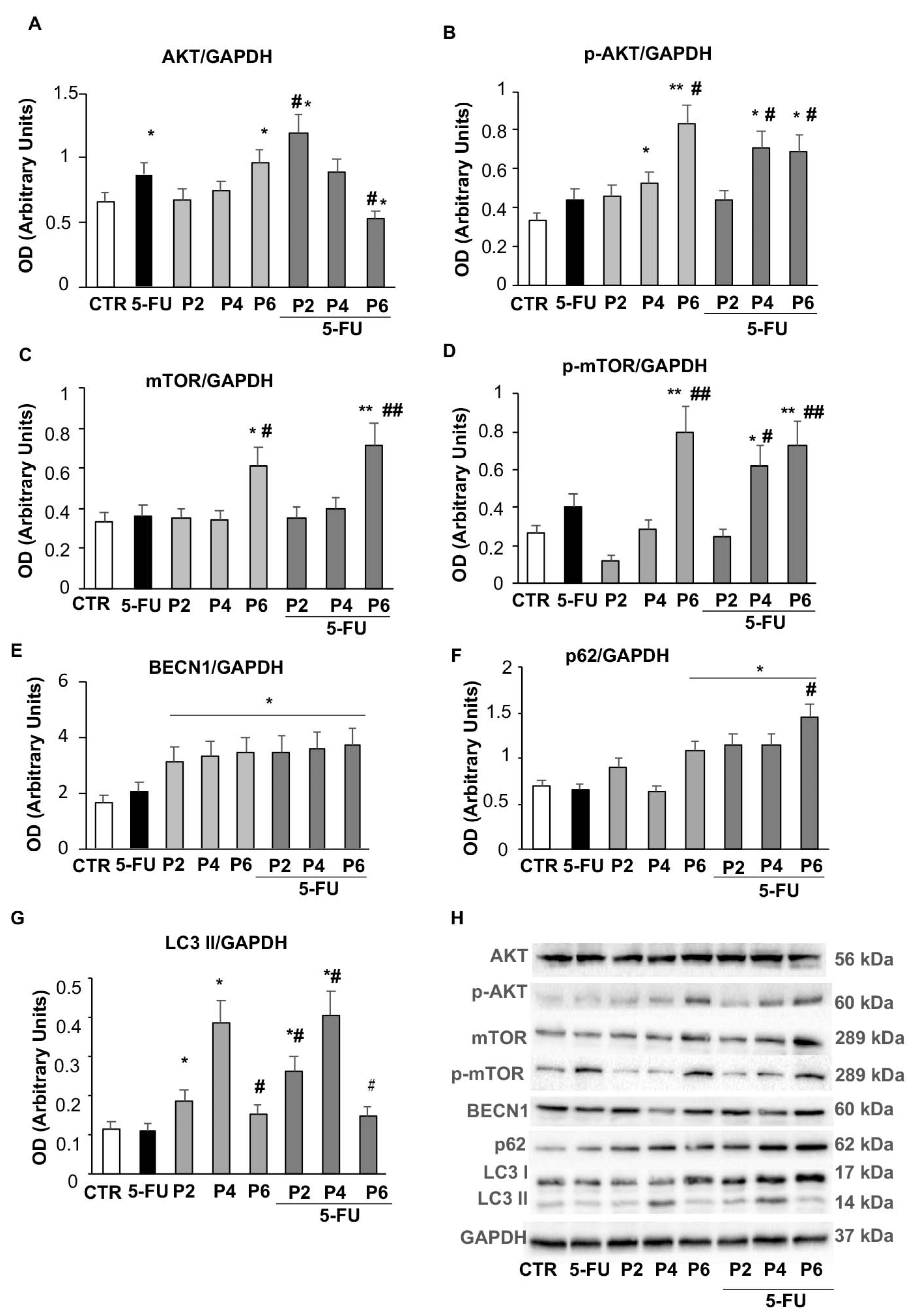 Ijms 23 16098 g007 Ijms 23 16098 g007