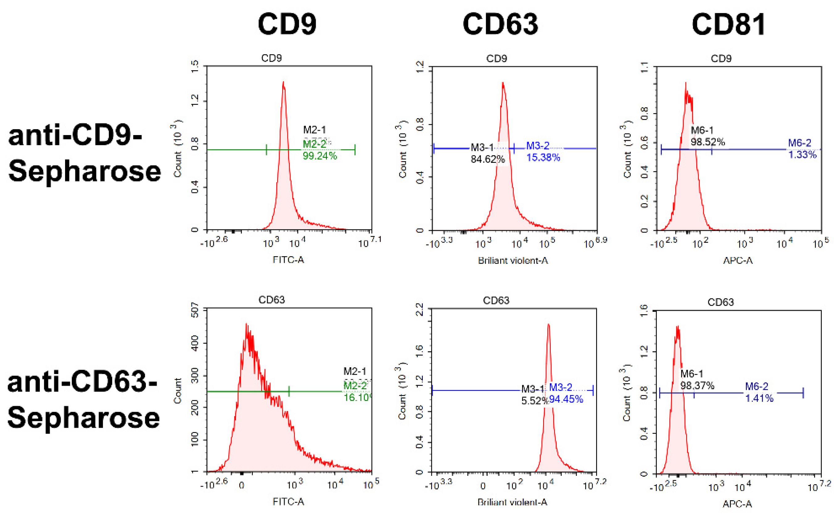 Ijms 23 16106 g005 Ijms 23 16106 g005