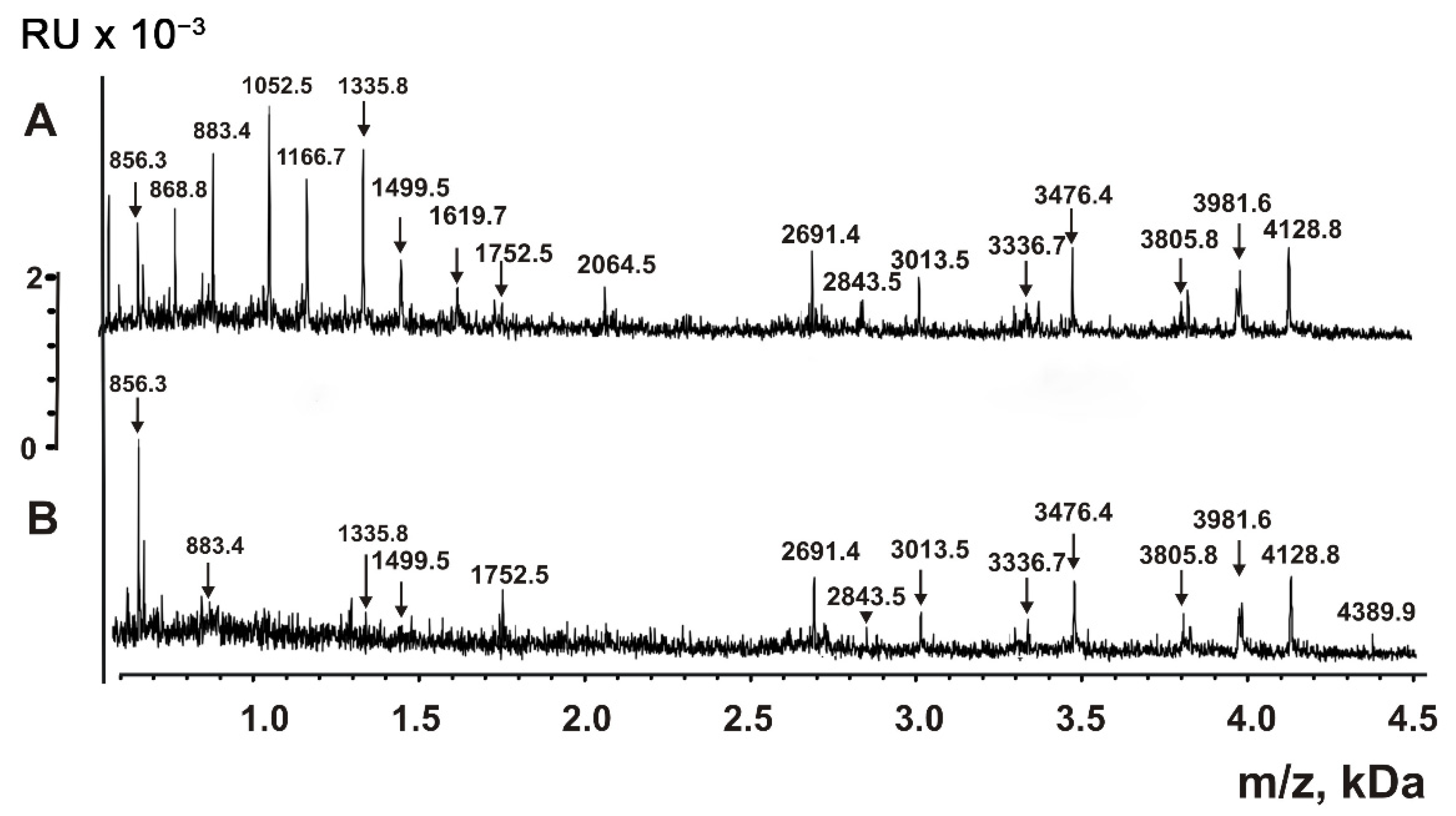 Ijms 23 16106 g008 Ijms 23 16106 g008