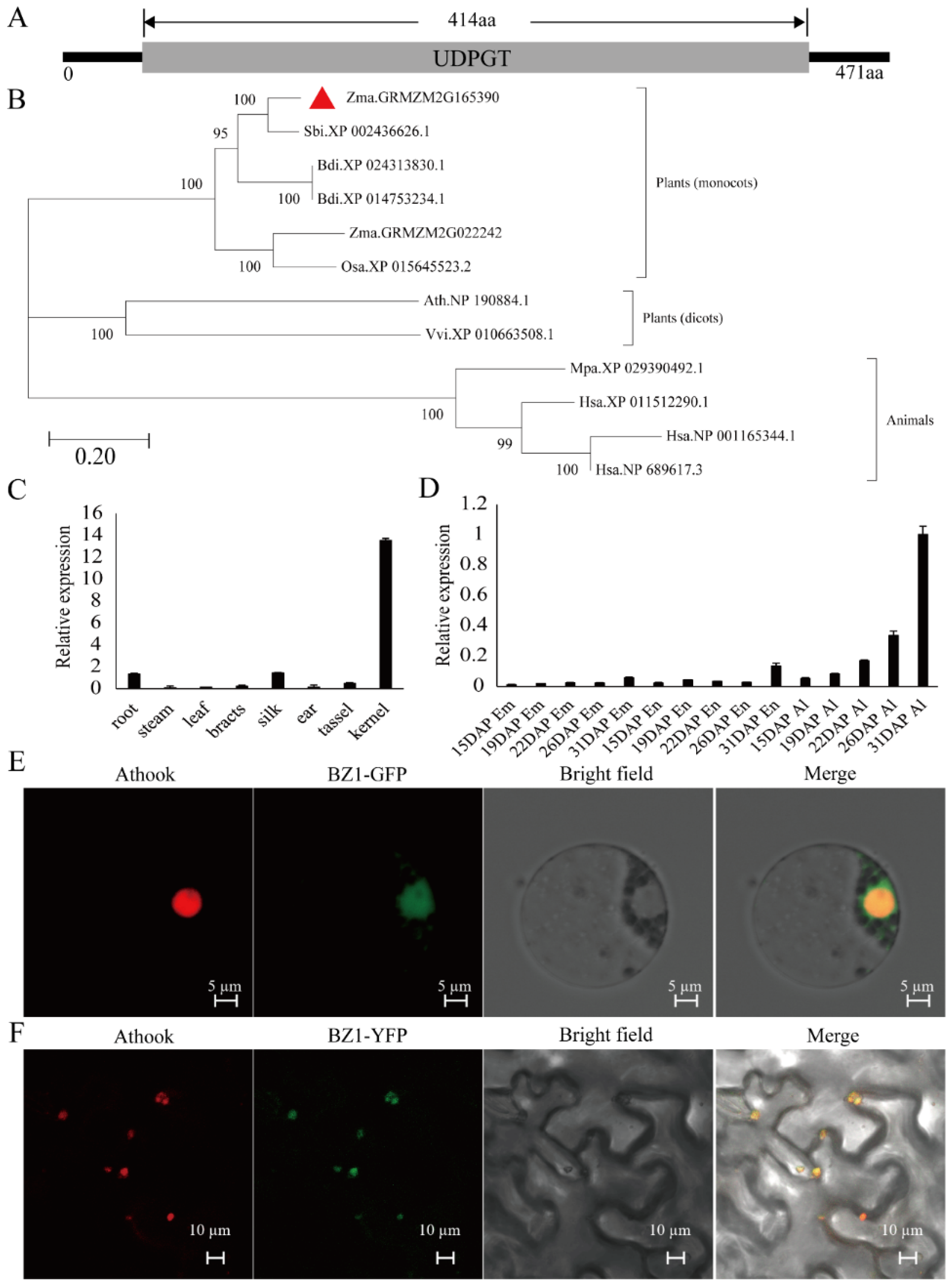 Ijms 23 16123 g003 Ijms 23 16123 g003